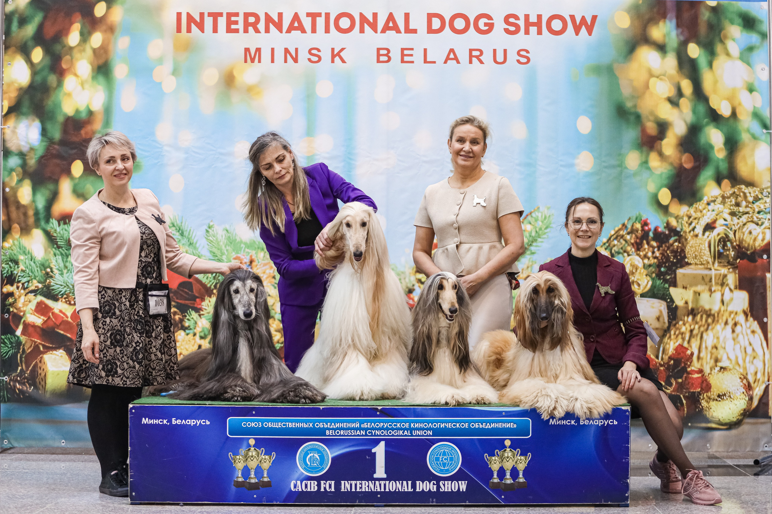 Международная выставка собак СACIB FCI 29-30.11.2025. Галерея фотографий афганской борзой