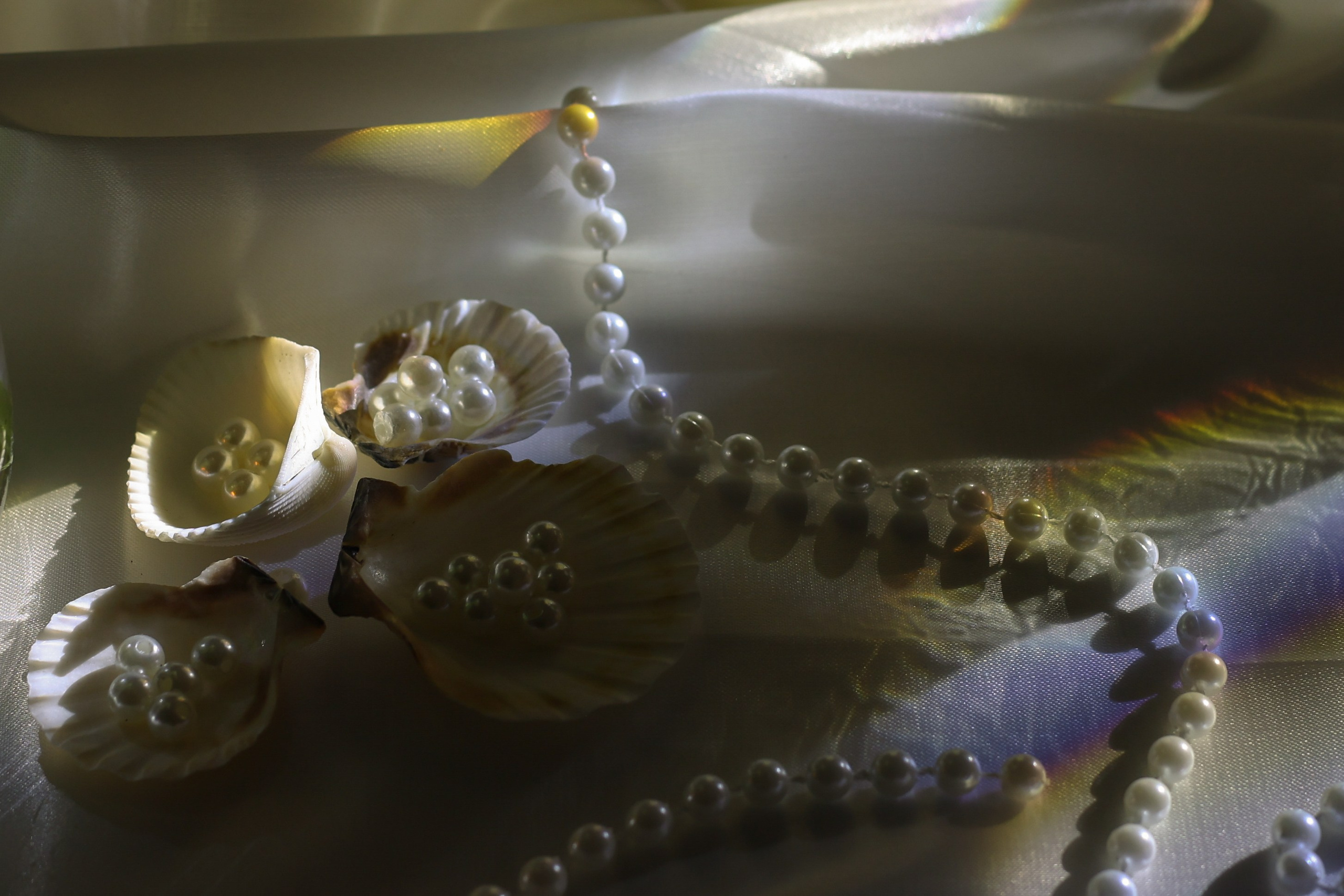 Ангелина и Никита 22 февраля 2026 г. Свадебный фотограф в Москве Александрина Аксенова