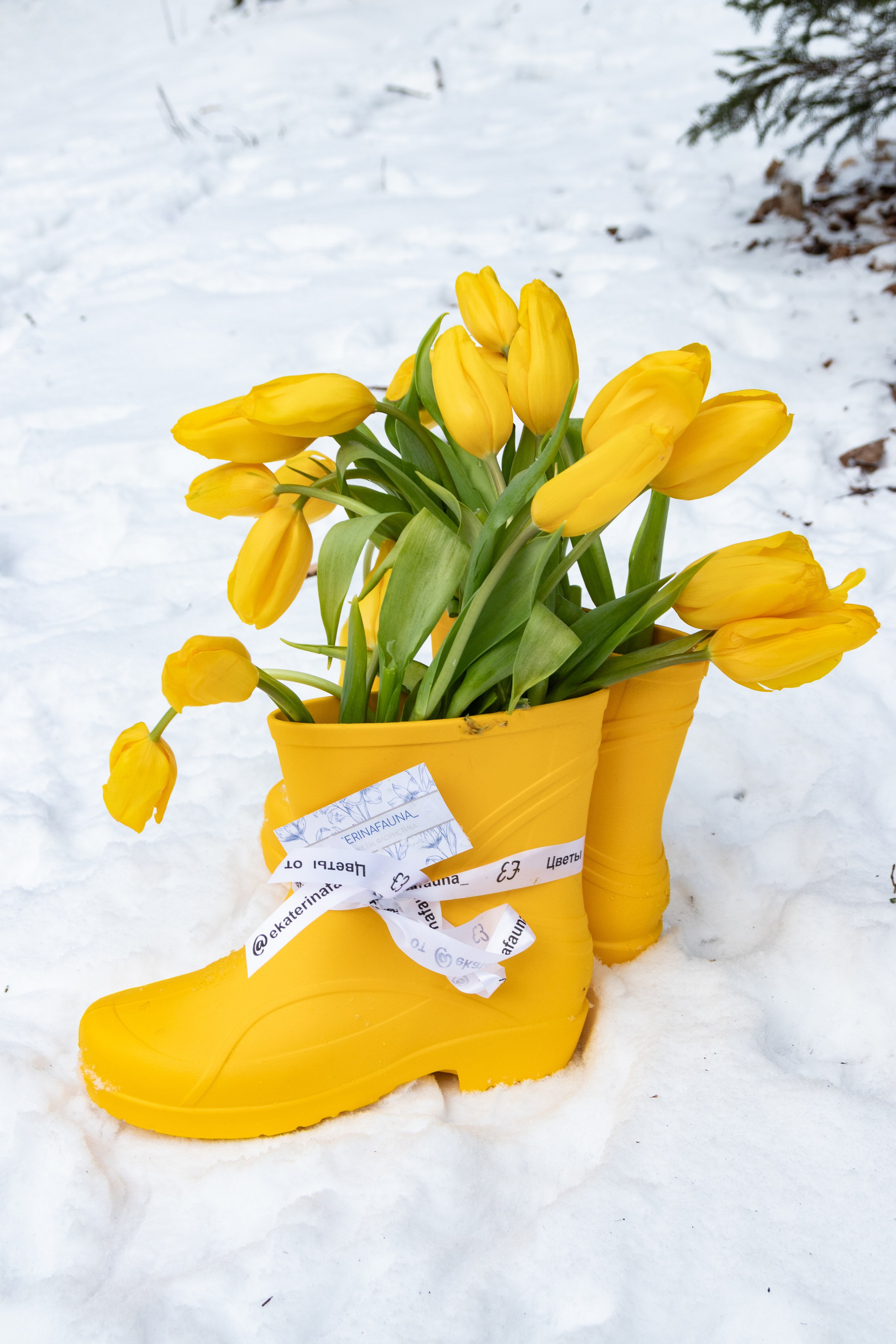 Эстетика в деталях — портфолио предметной съёмки. Портретный фотограф в Санкт-Петербурге Савельева Ольга