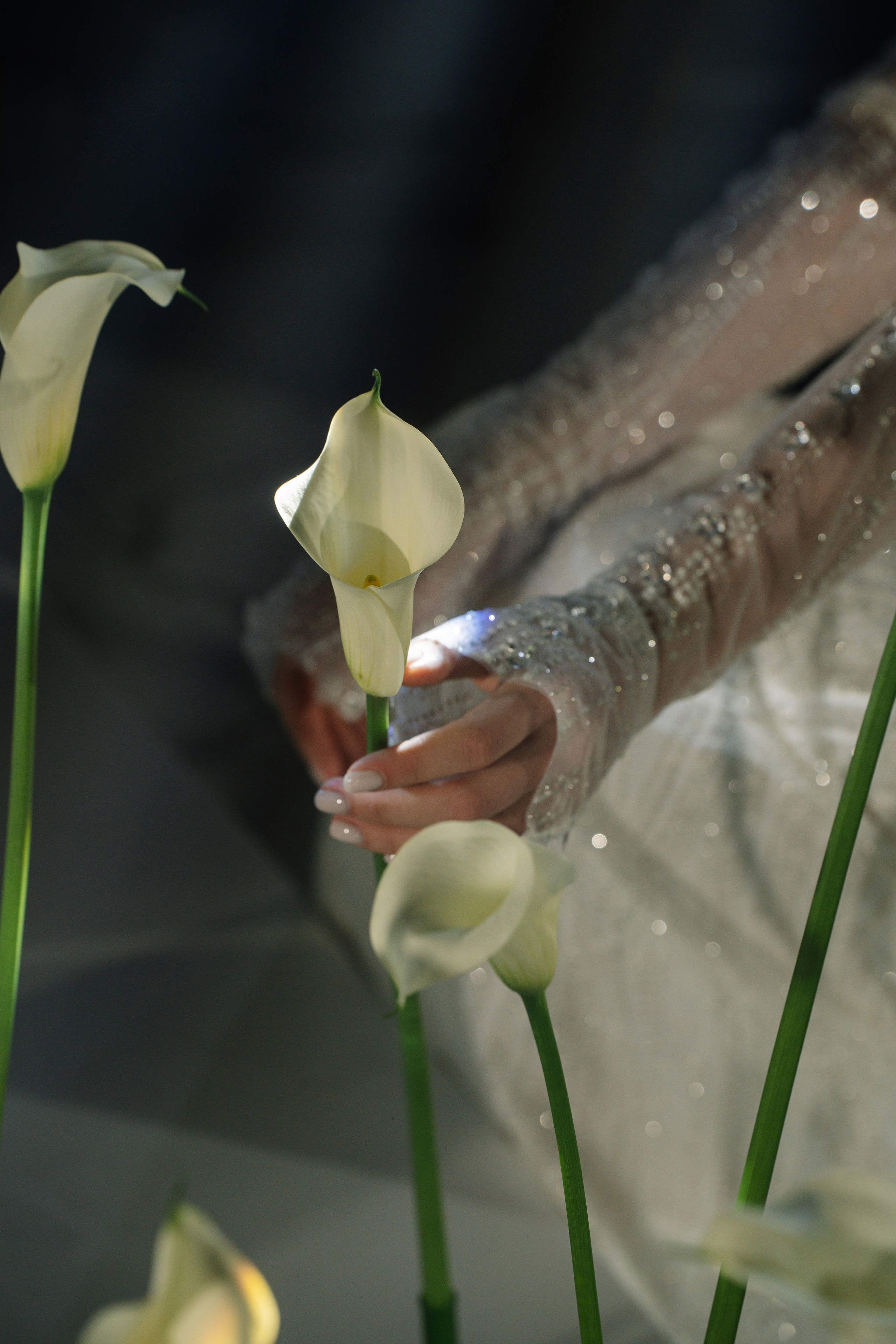 Линии света. Свадебный и семейный фотограф в Анапе Елена Полетаева