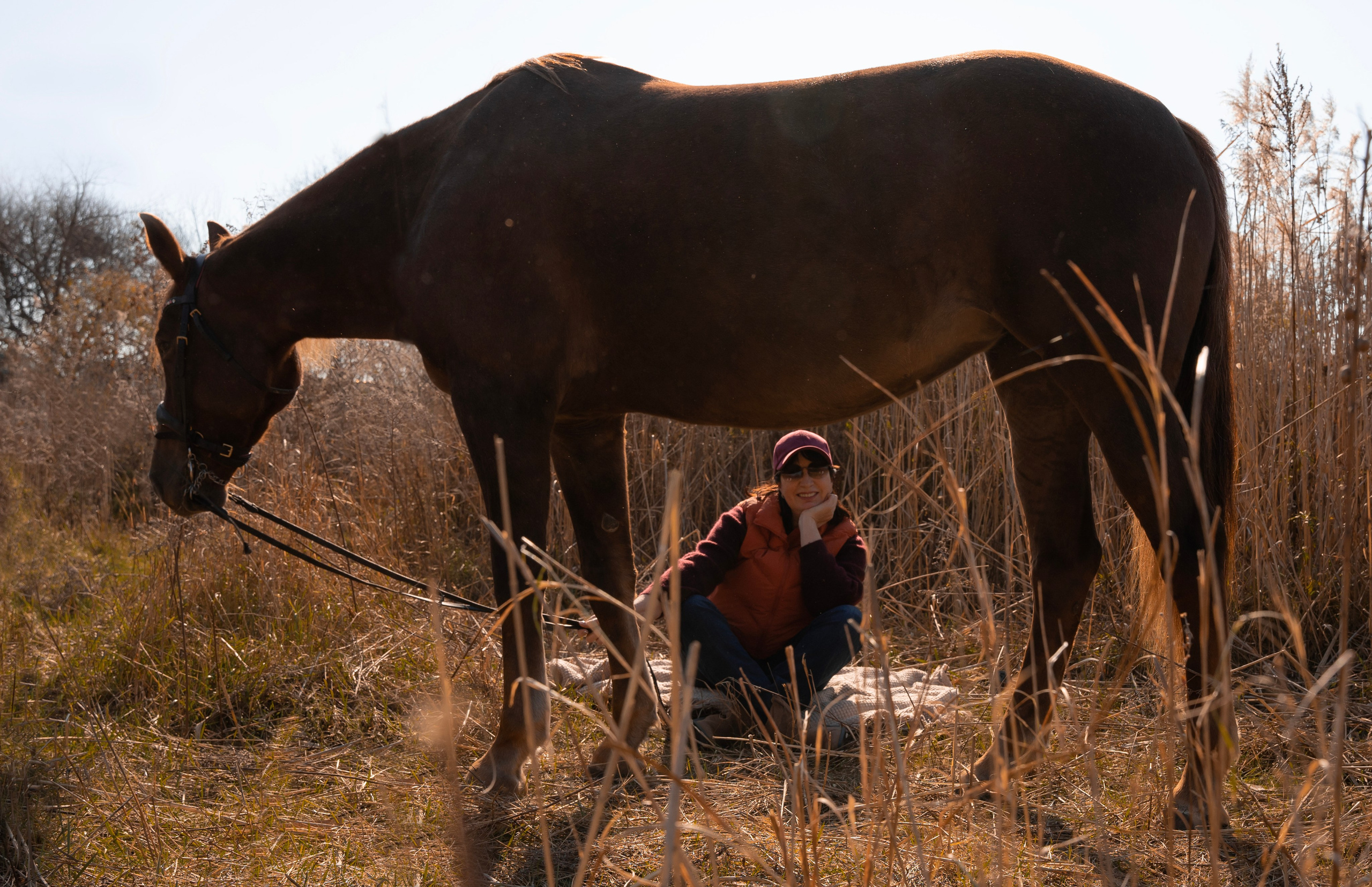 Фотосессия с лошадью. Женский, семейный фотограф в г. Уссурийске Марина Гусарова