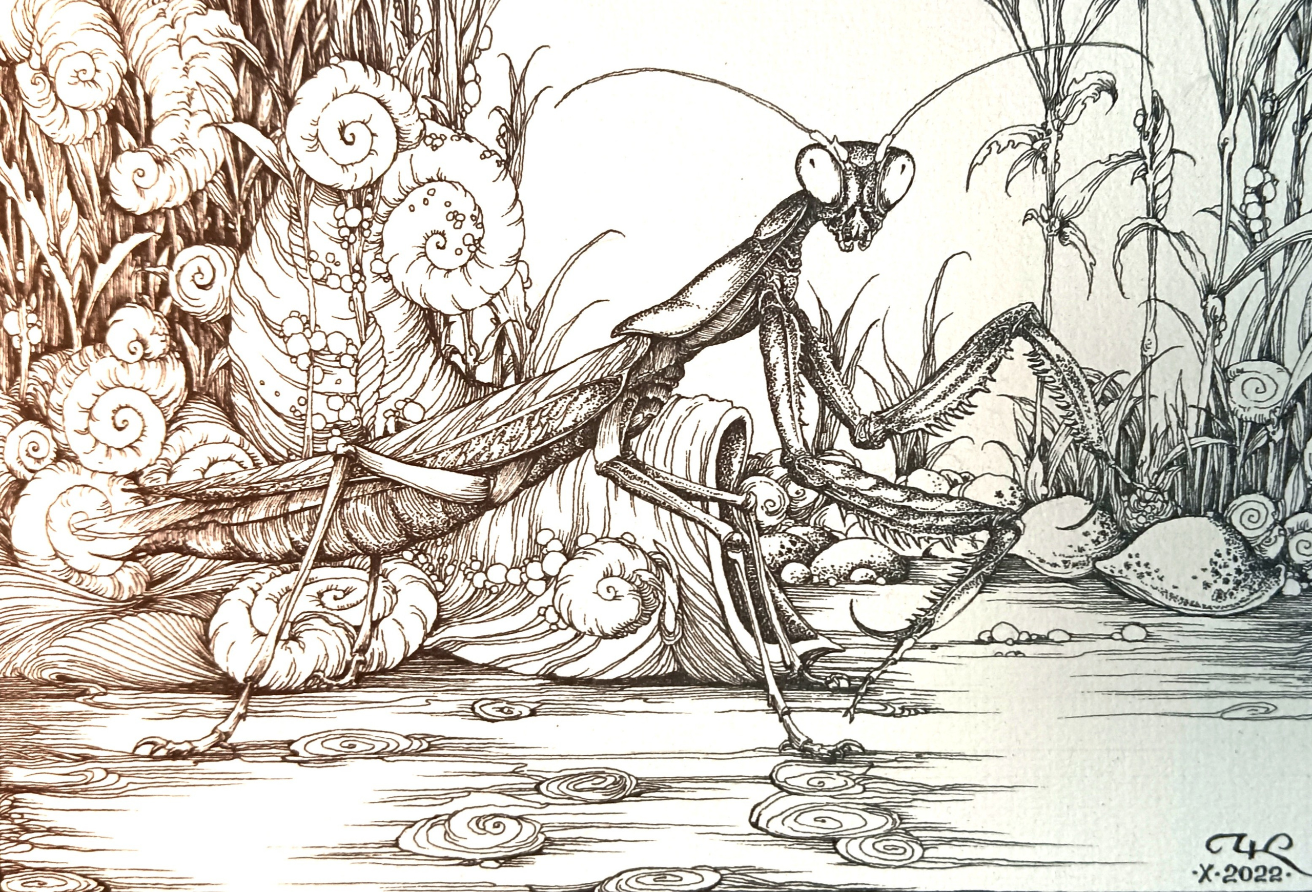 "Богомол" бумага, тушь, изограф, р.13х18см., 2022г.