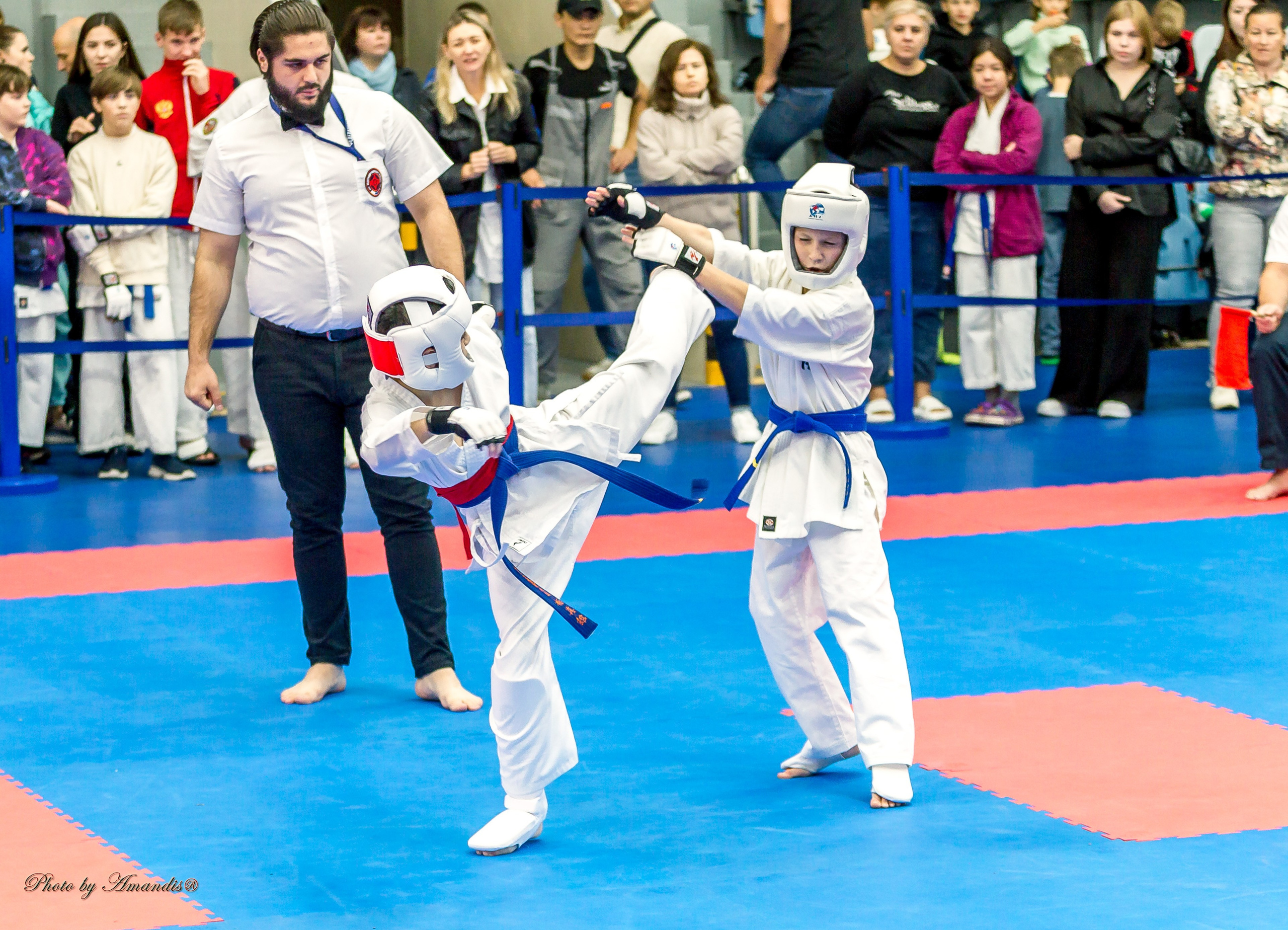Чемпионат по Киокушинкай Центрального Федерального округа. Репортажная съемка в Москве и области. Анималистика