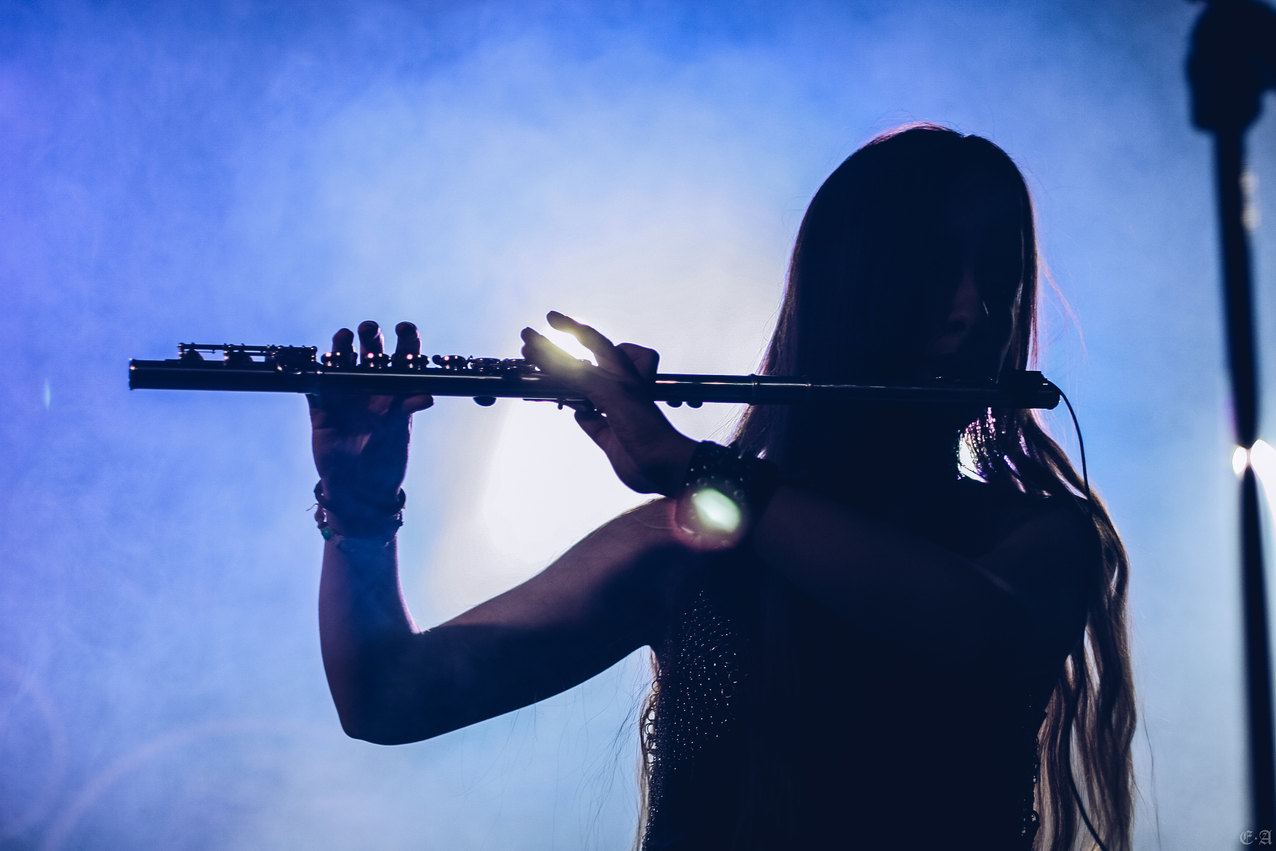 Группа «Ворон» на фестивале «Рок в защиту животных 2019». Фотограф Ellairen