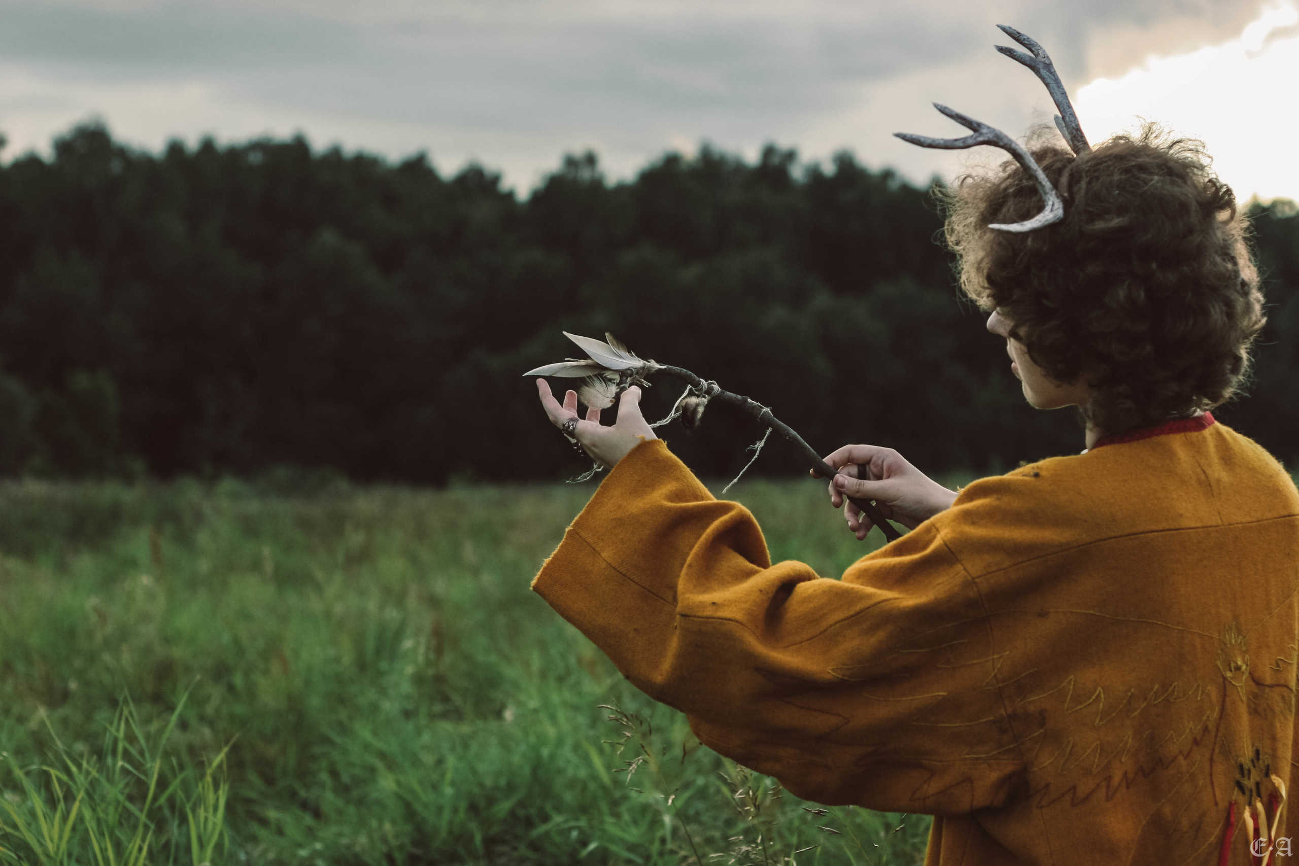 Fegurð. Лесной шаман. Фотограф Ellairen