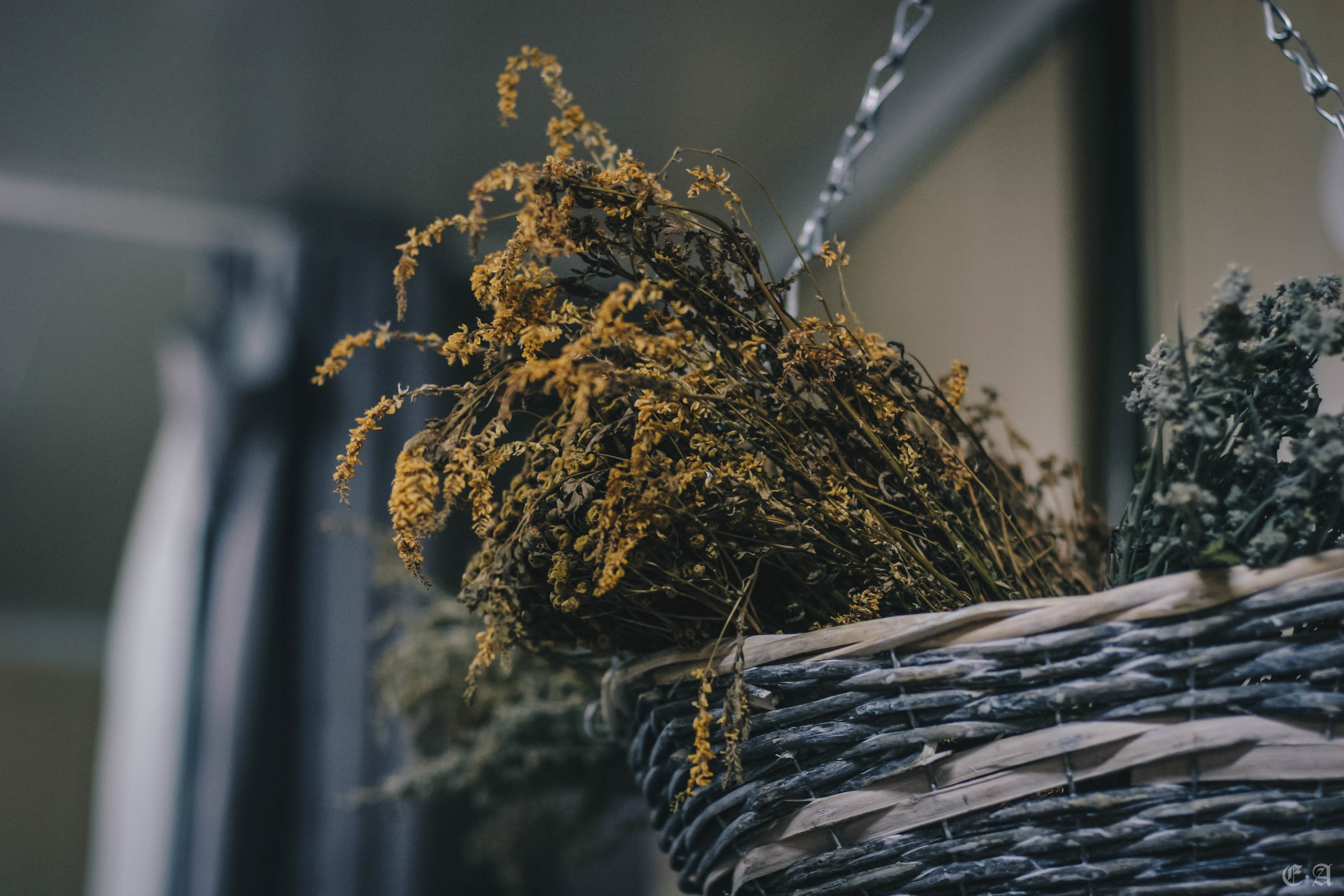 Сокровищница обители «Ведьмин Путь». Фотограф Ellairen