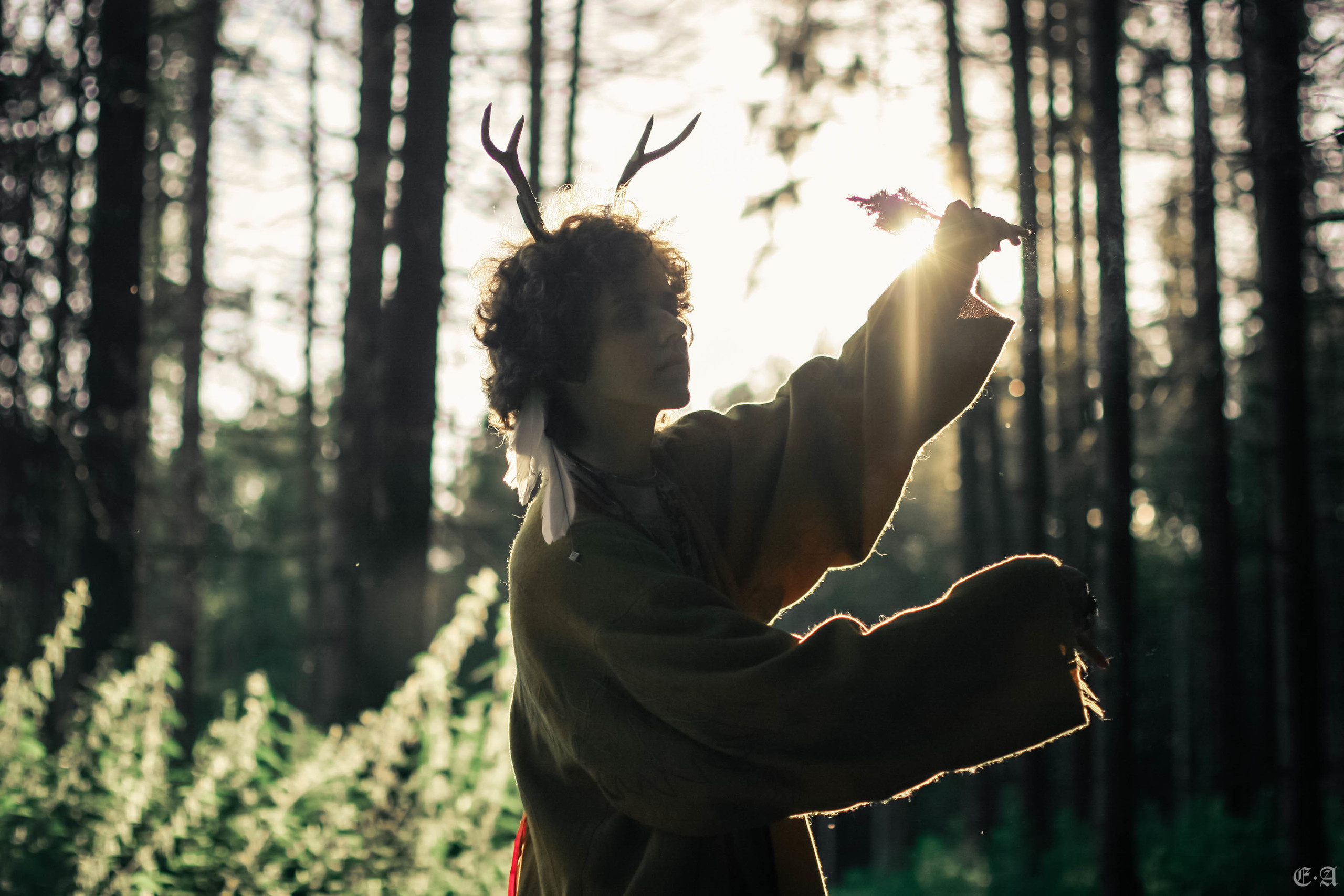 Fegurð. Лесной шаман. Фотограф Ellairen