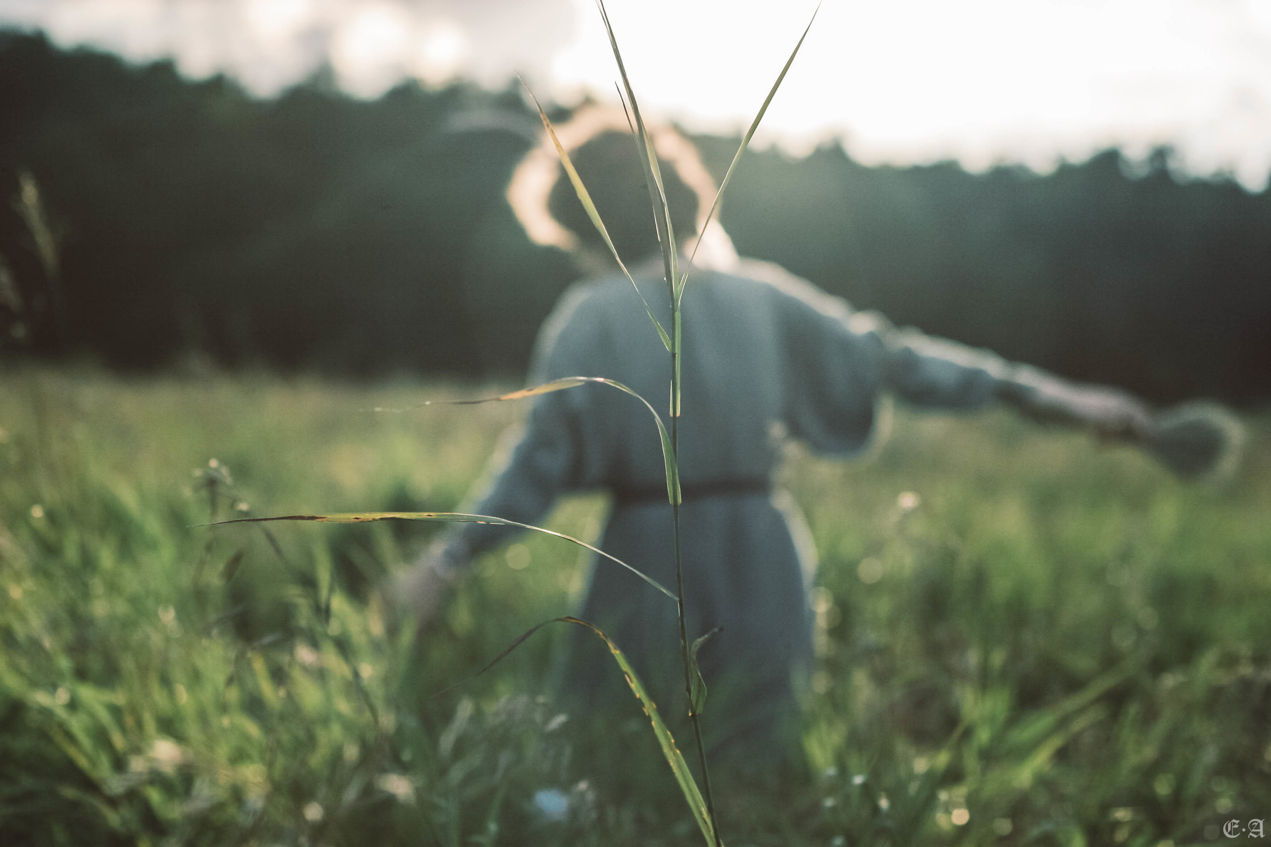 Fegurð. Лесной шаман. Фотограф Ellairen