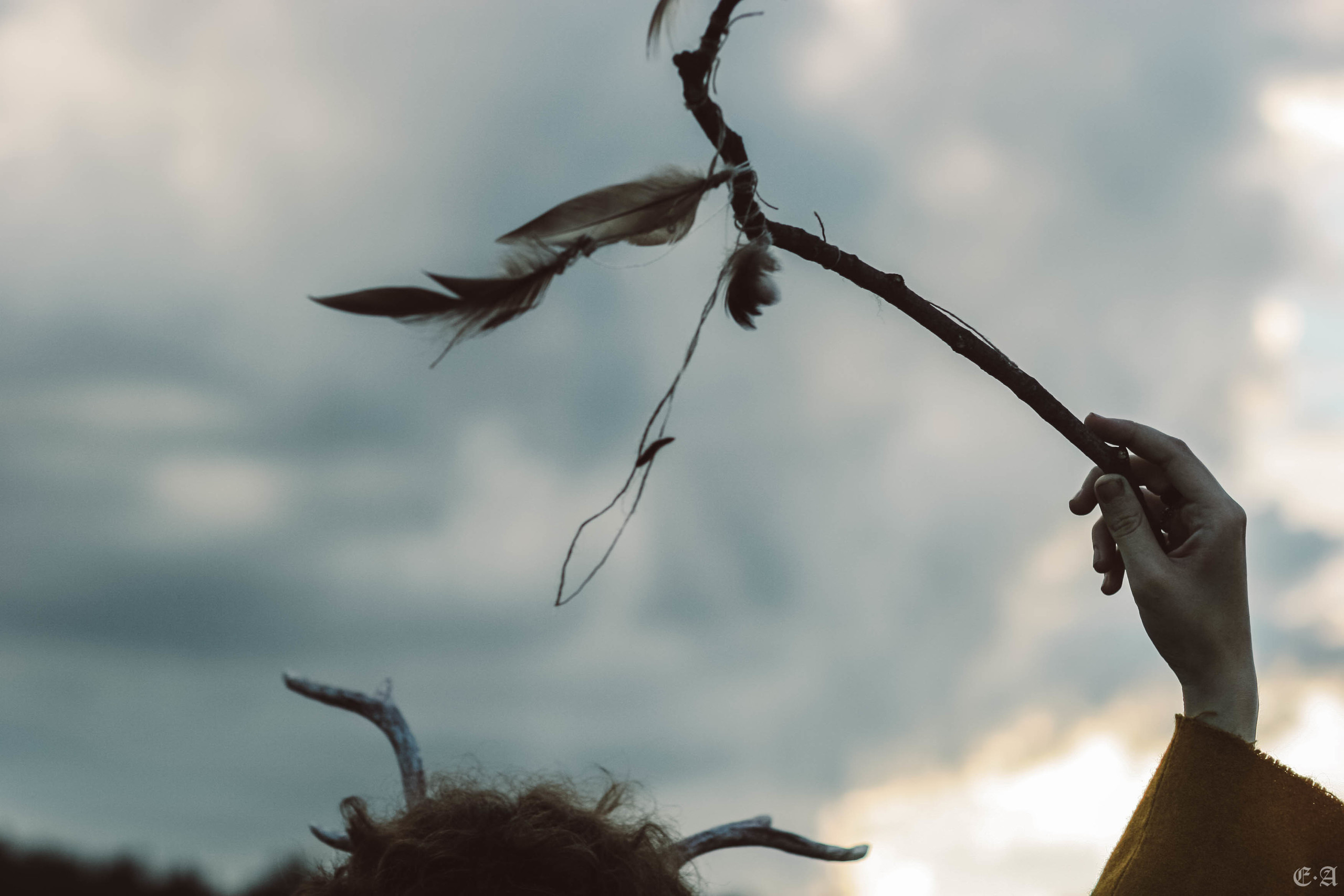 Fegurð. Лесной шаман. Фотограф Ellairen