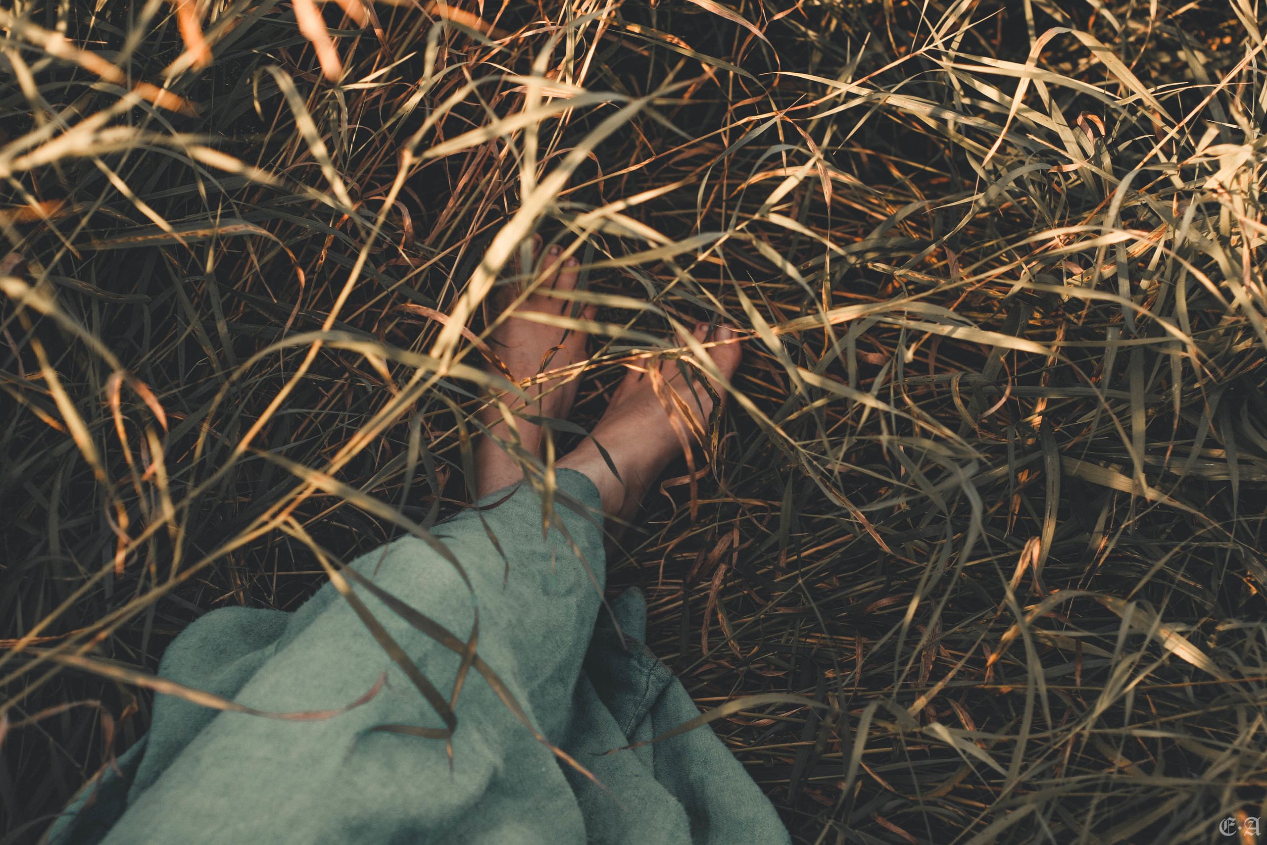 Fegurð. Лесной шаман. Фотограф Ellairen