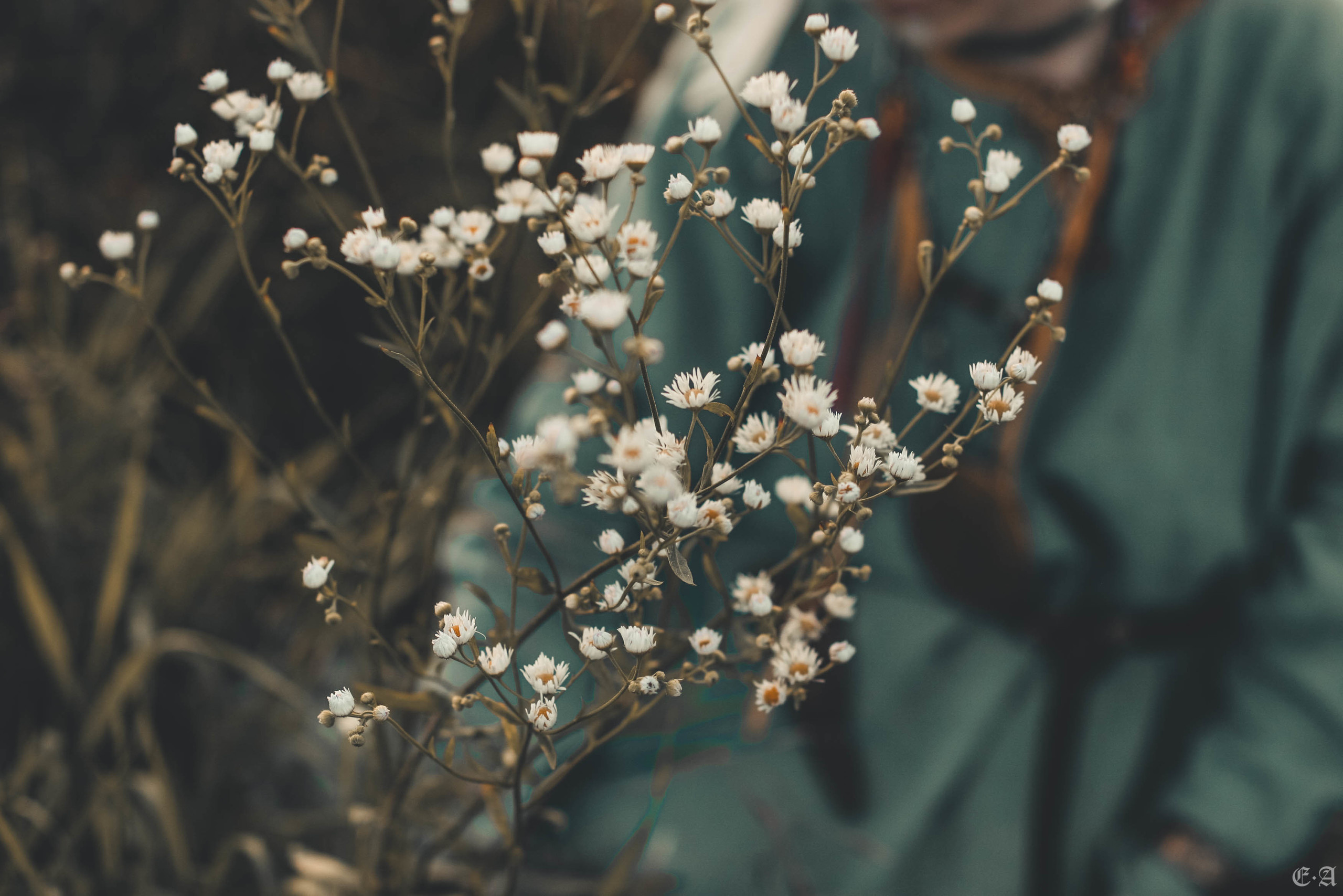 Fegurð. Лесной шаман. Фотограф Ellairen