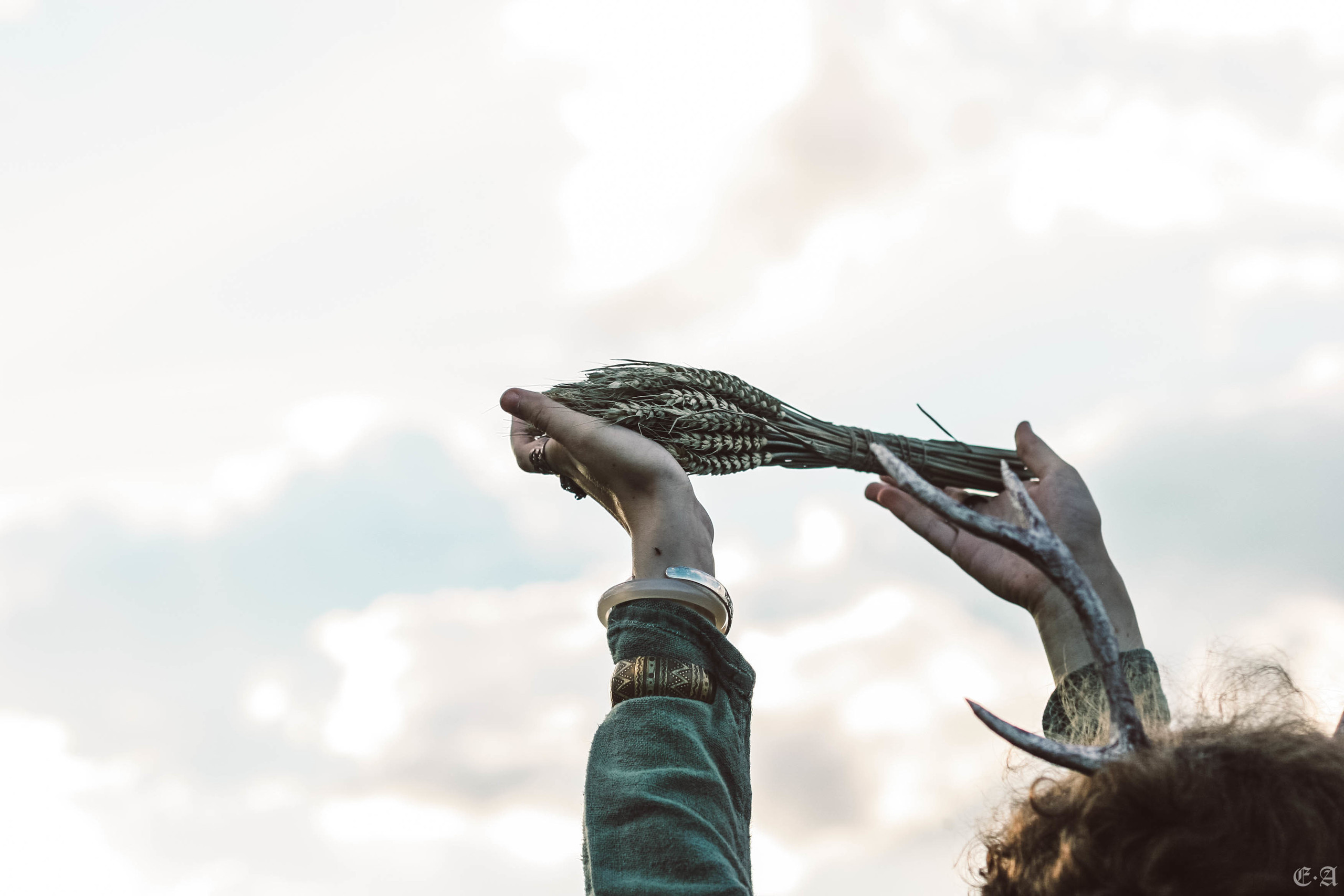 Fegurð. Лесной шаман. Фотограф Ellairen