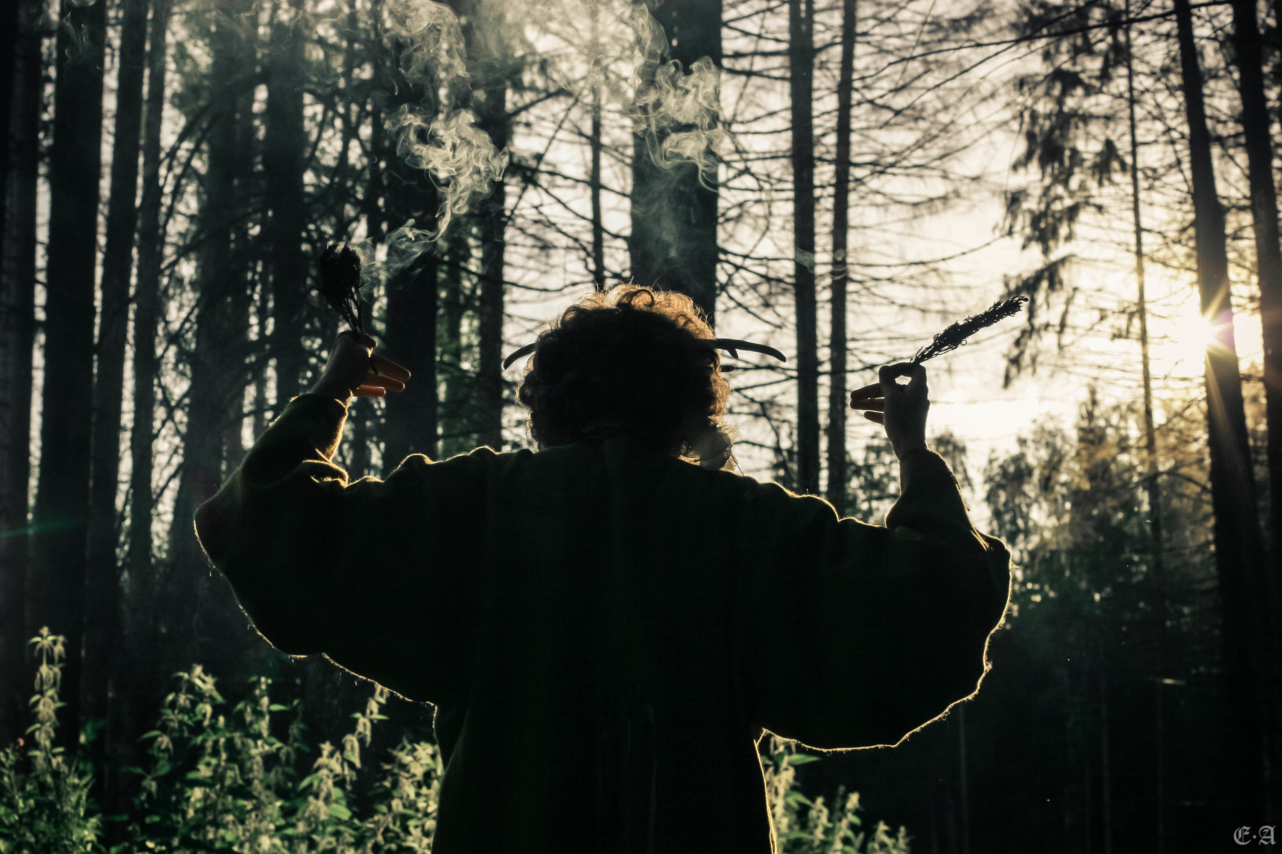 Fegurð. Лесной шаман. Фотограф Ellairen