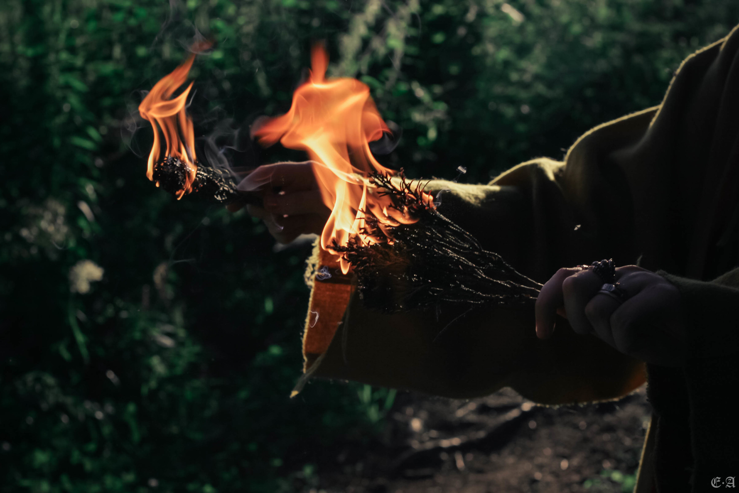 Fegurð. Лесной шаман. Фотограф Ellairen