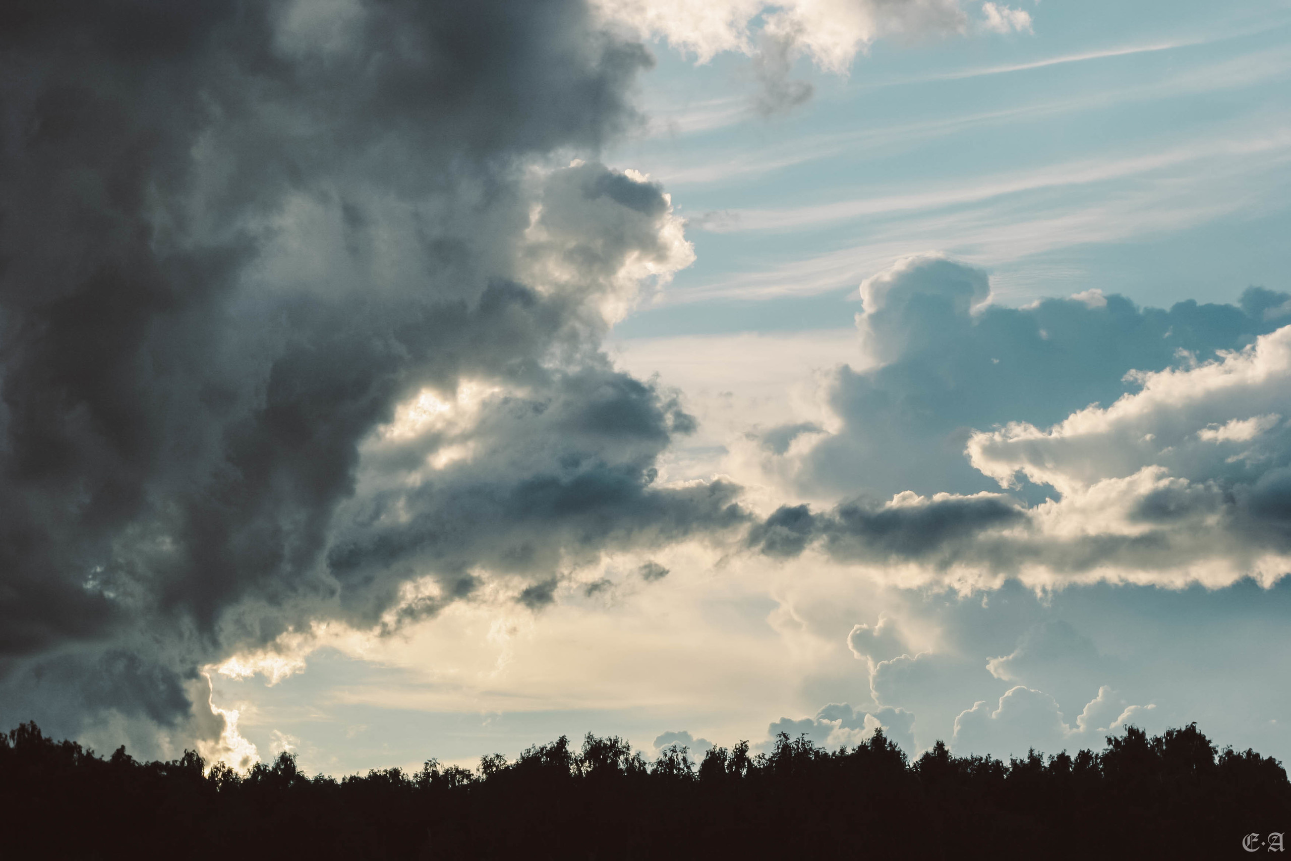 Fegurð. Лесной шаман. Фотограф Ellairen