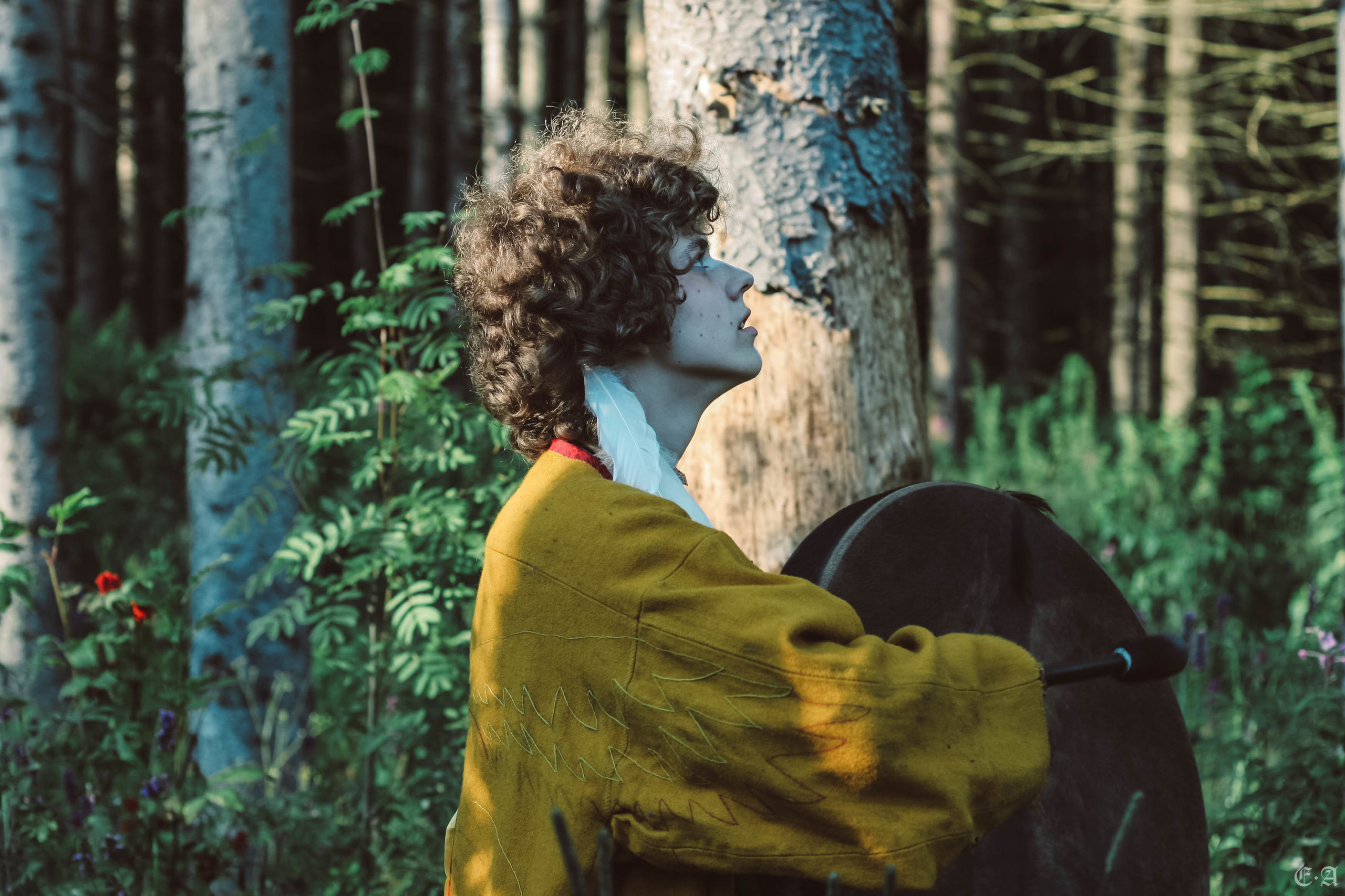 Fegurð. Лесной шаман. Фотограф Ellairen