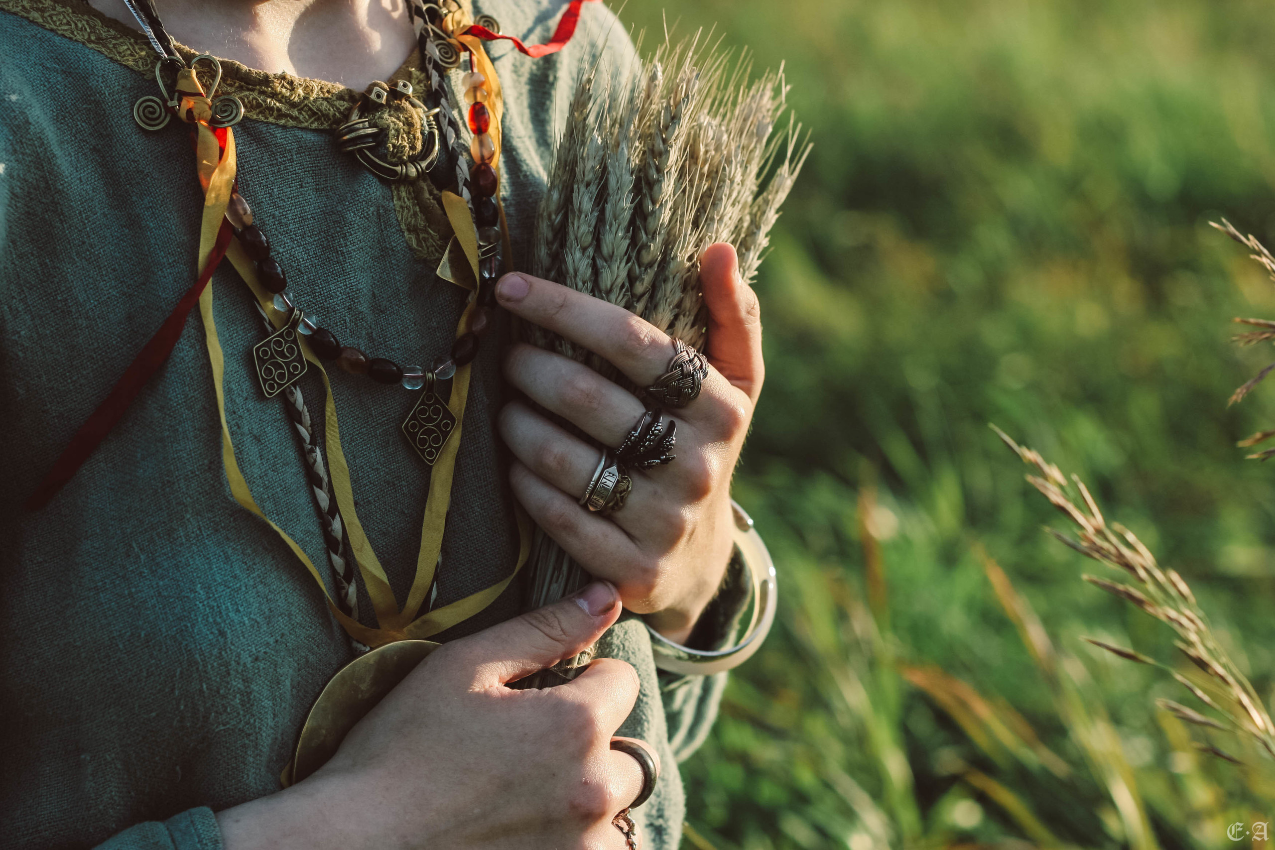 Fegurð. Лесной шаман. Фотограф Ellairen