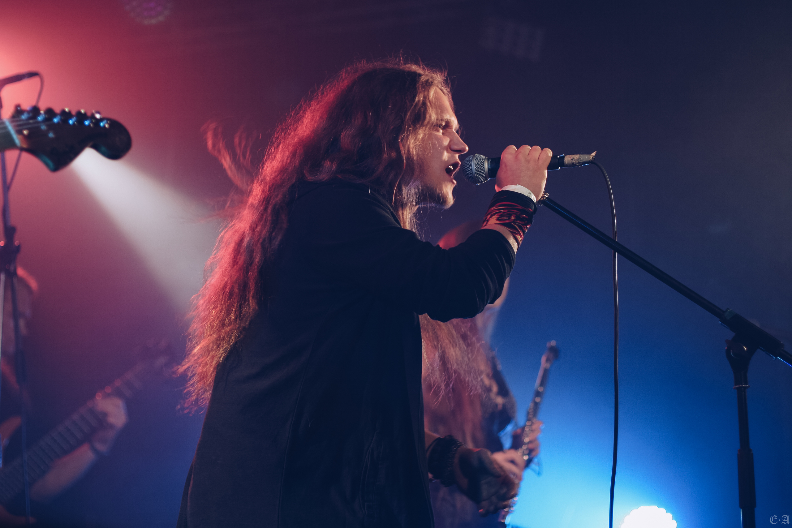 Группа «Ворон» на фестивале «Рок в защиту животных 2019». Фотограф Ellairen