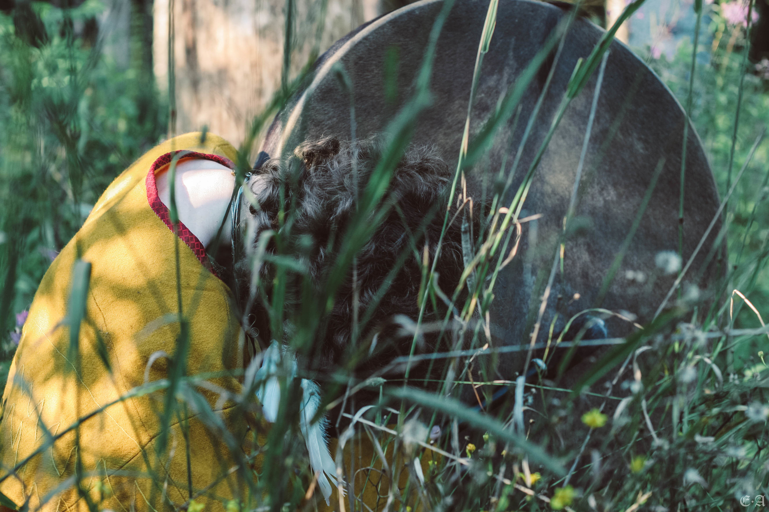 Fegurð. Лесной шаман. Фотограф Ellairen