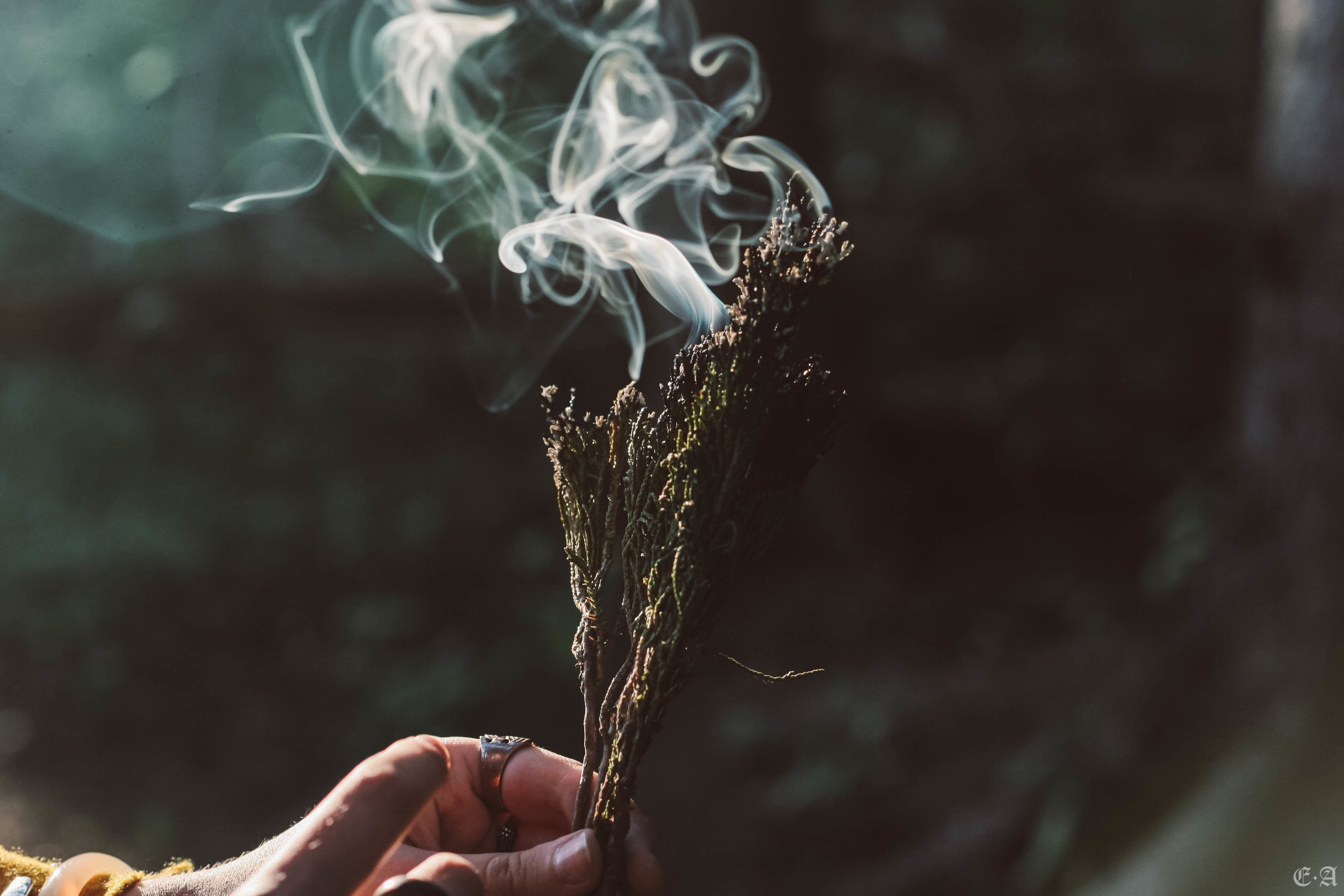 Fegurð. Лесной шаман. Фотограф Ellairen