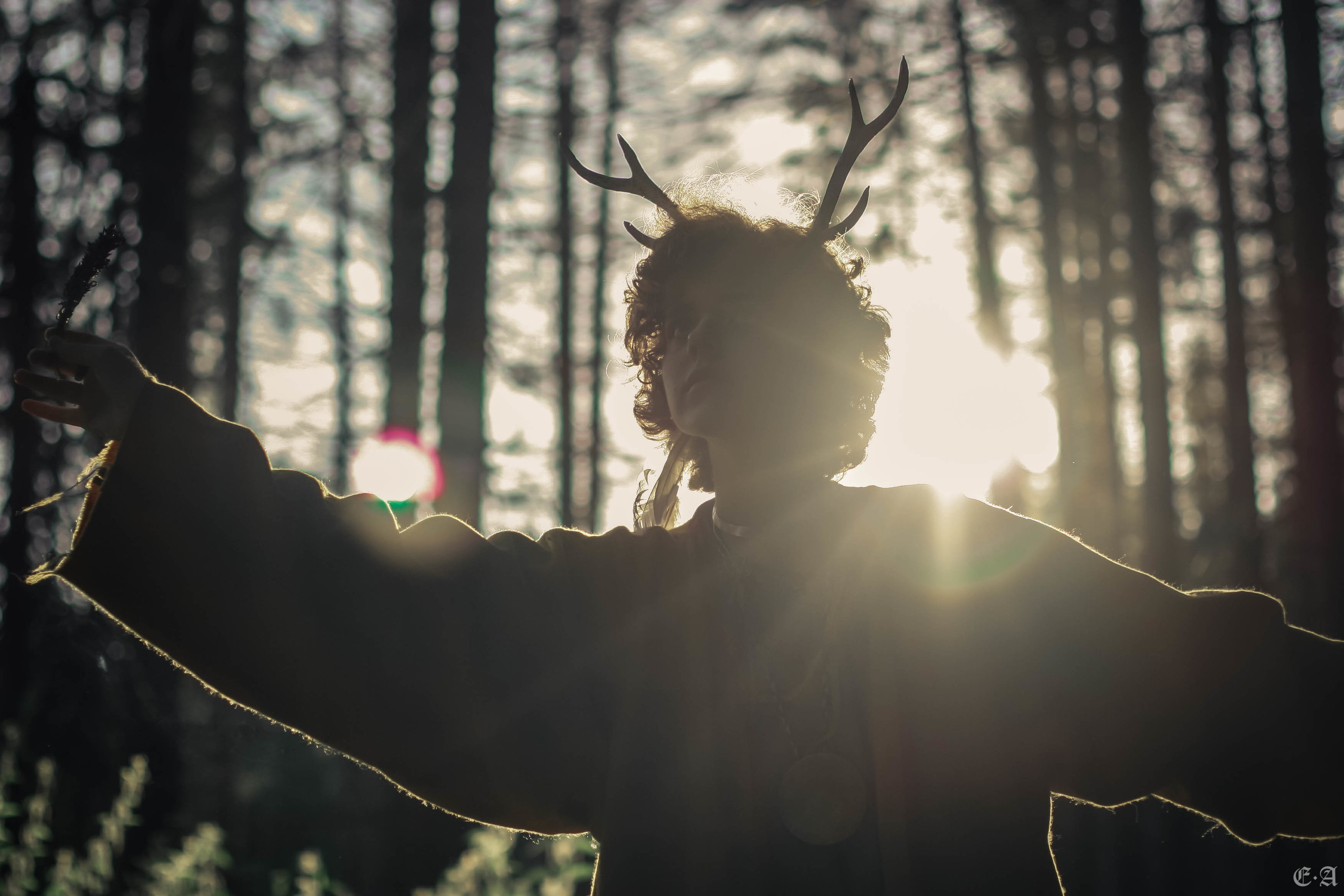 Fegurð. Лесной шаман. Фотограф Ellairen