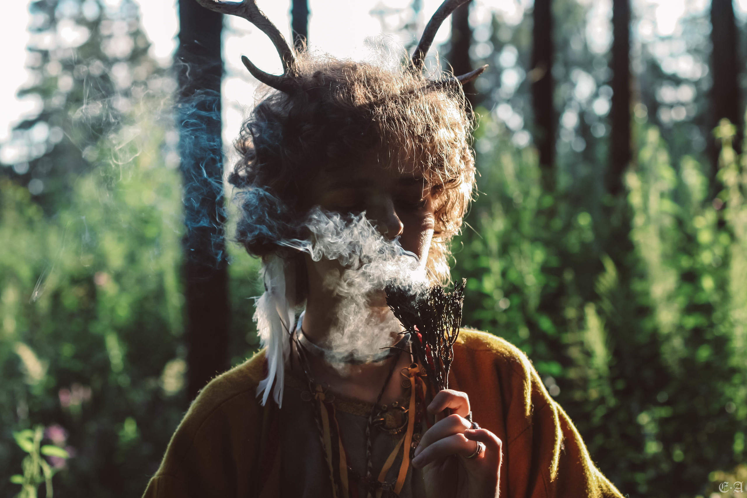 Fegurð. Лесной шаман. Фотограф Ellairen
