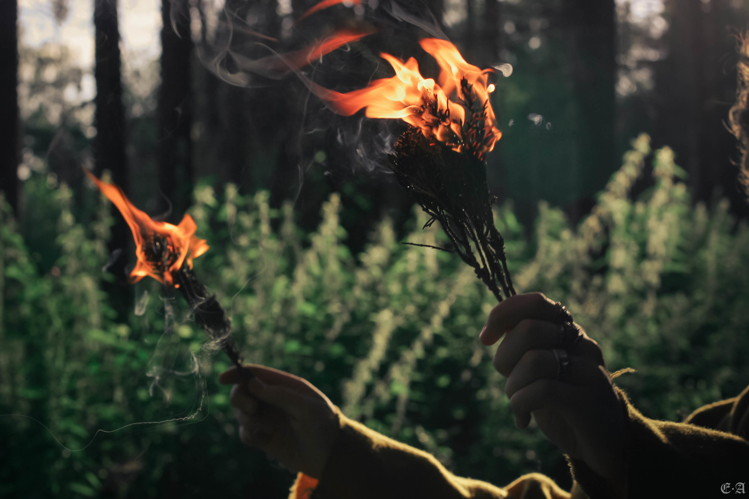 Fegurð. Лесной шаман. Фотограф Ellairen