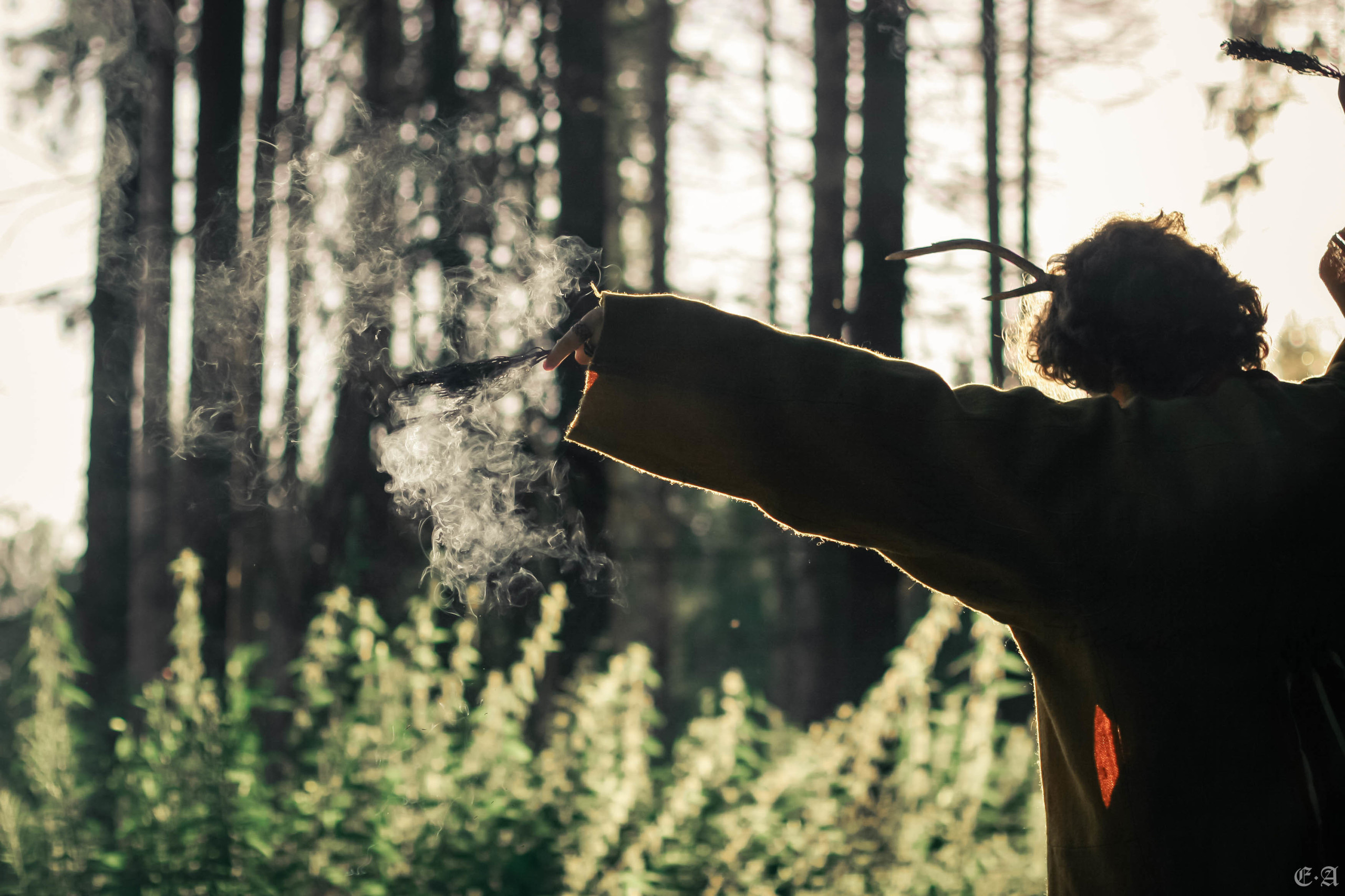 Fegurð. Лесной шаман. Фотограф Ellairen