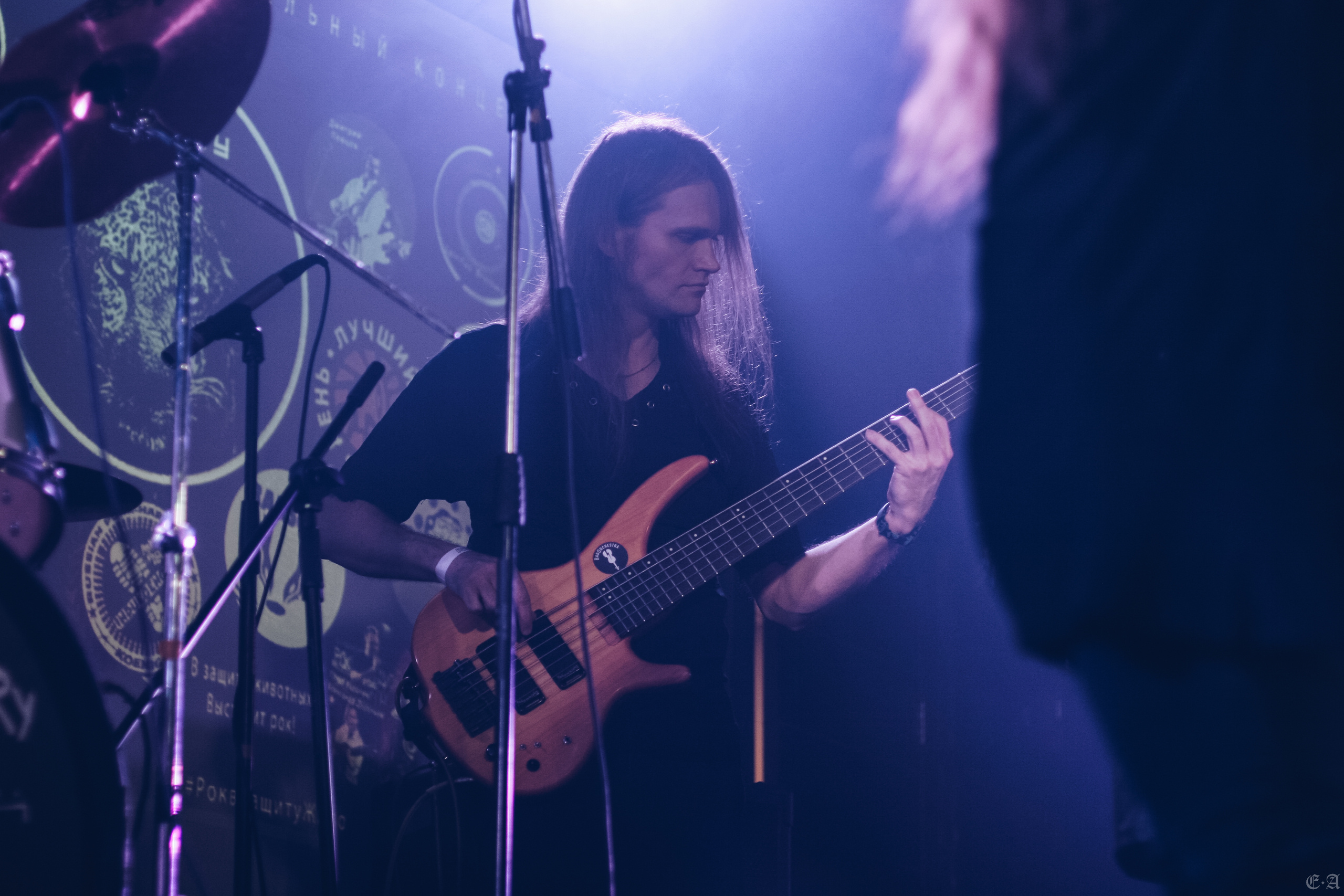 Группа «Ворон» на фестивале «Рок в защиту животных 2019». Фотограф Ellairen