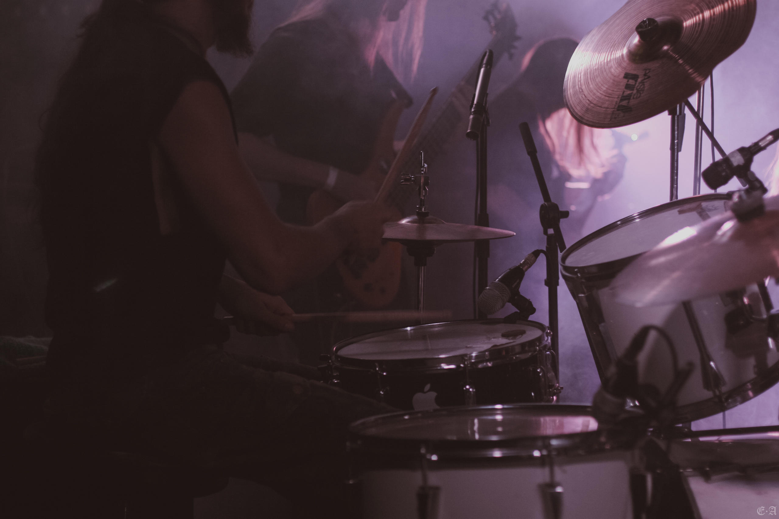 Группа «Ворон» на фестивале «Рок в защиту животных 2019». Фотограф Ellairen