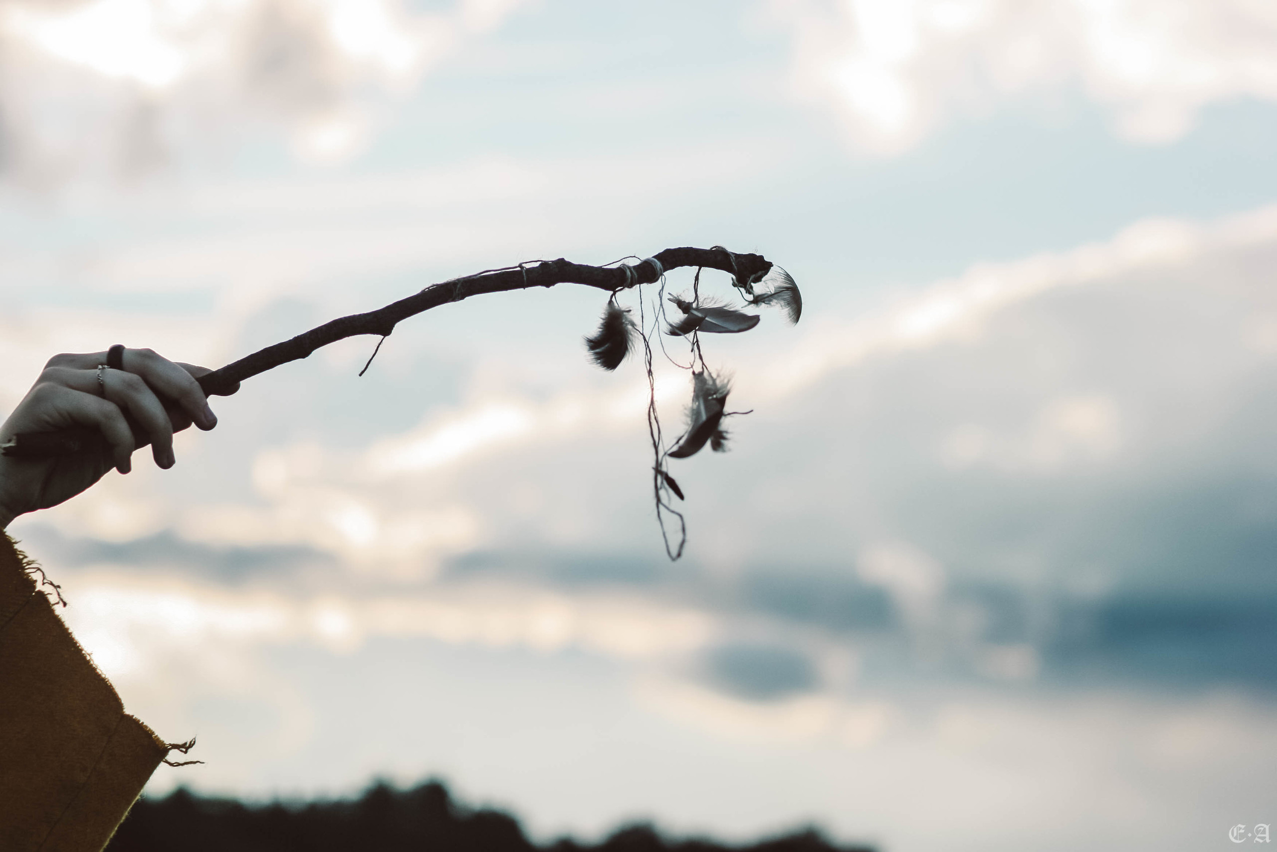 Fegurð. Лесной шаман. Фотограф Ellairen