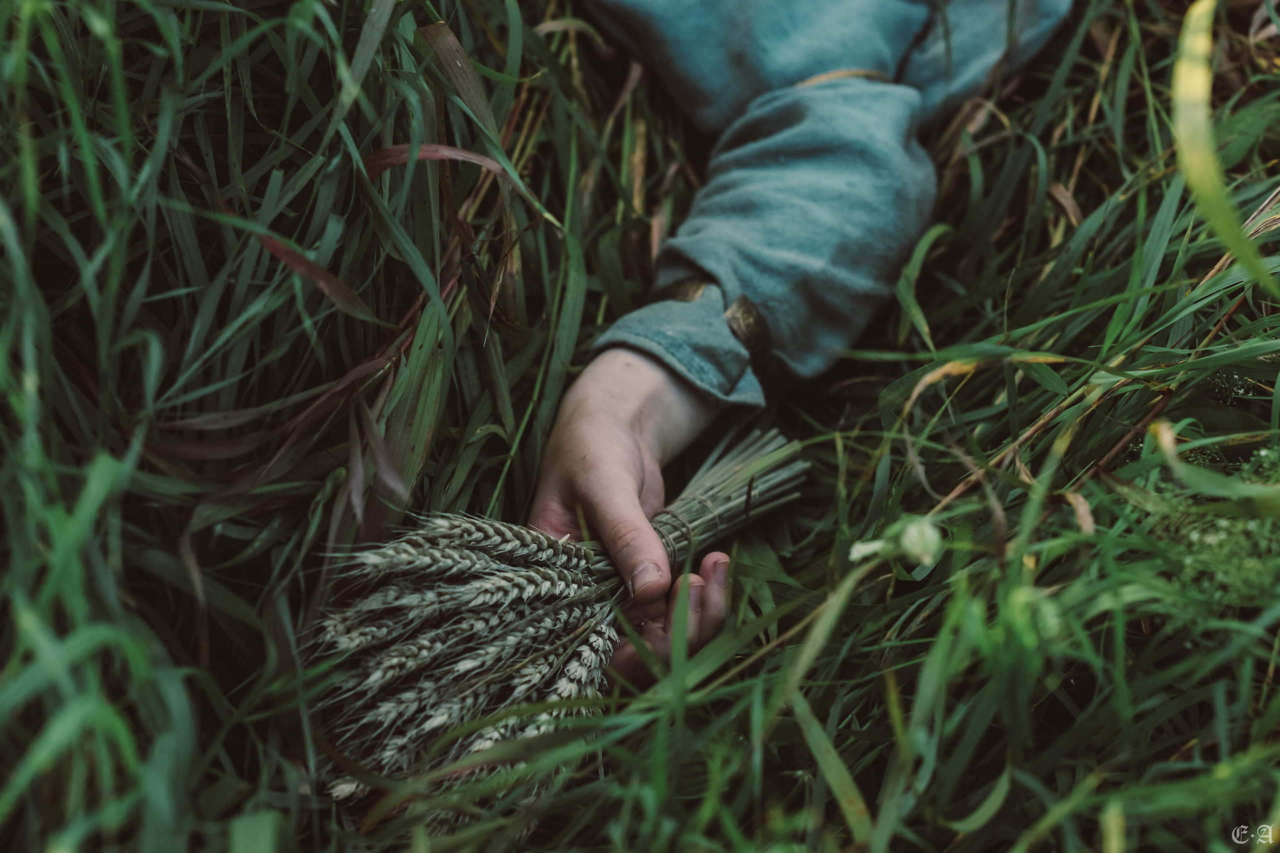 Fegurð. Лесной шаман. Фотограф Ellairen