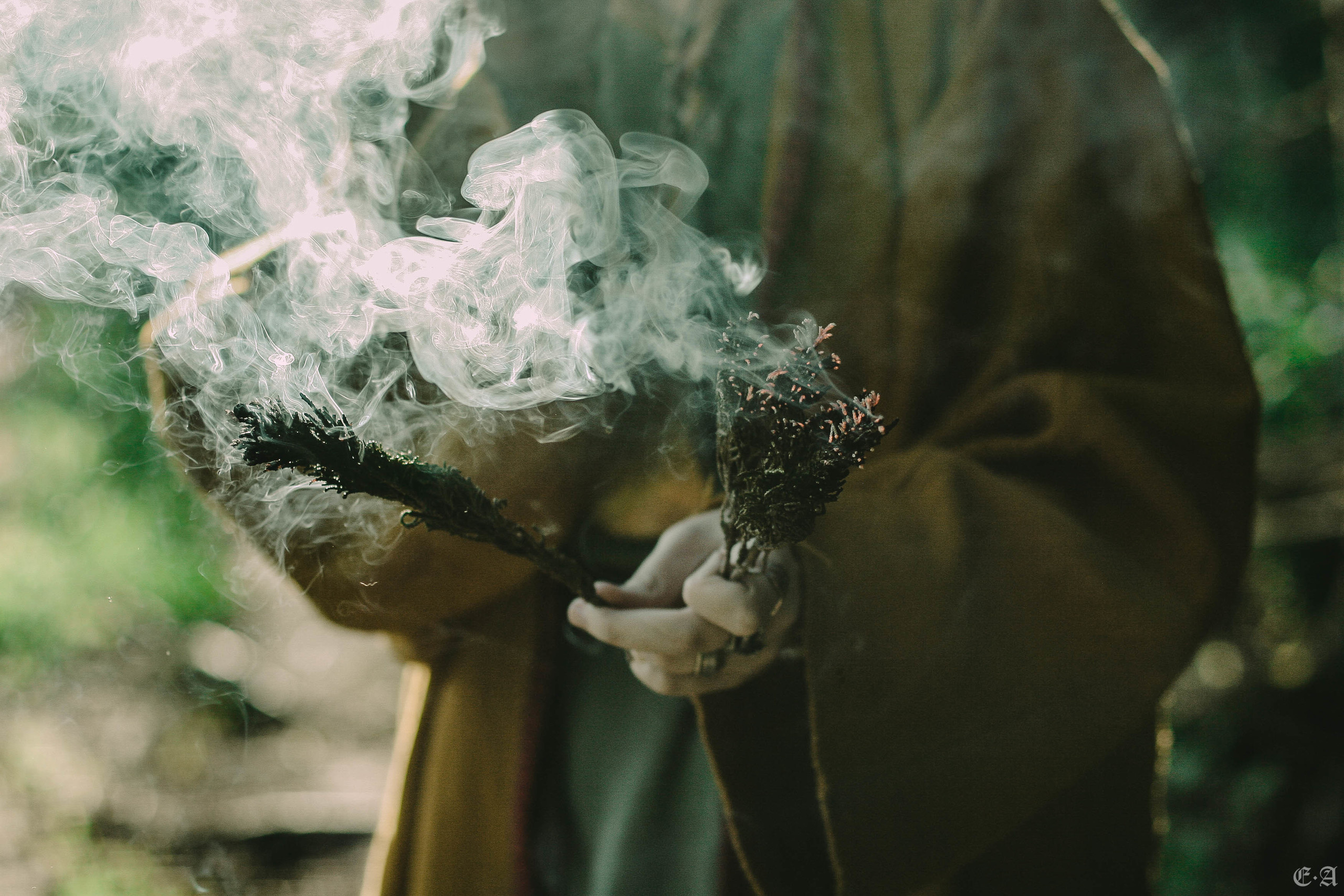 Fegurð. Лесной шаман. Фотограф Ellairen