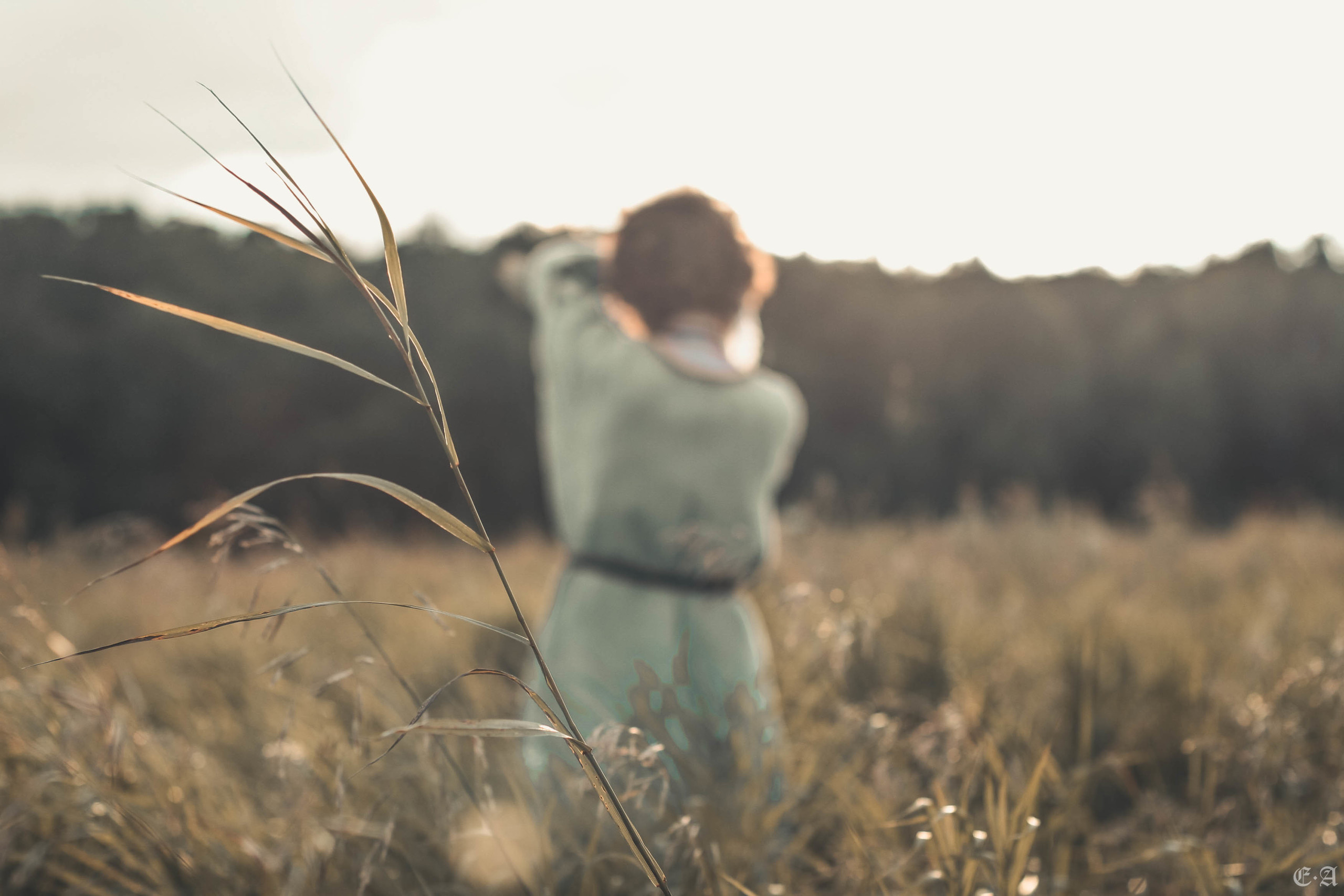 Fegurð. Лесной шаман. Фотограф Ellairen