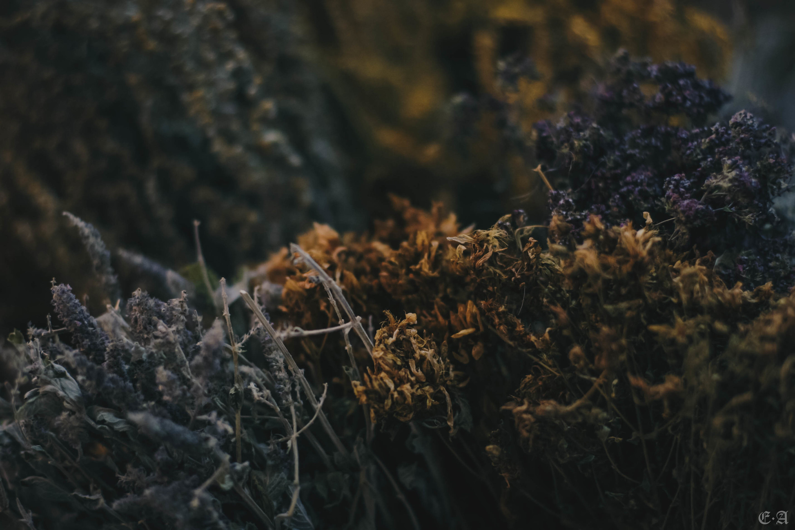 Сокровищница обители «Ведьмин Путь». Фотограф Ellairen