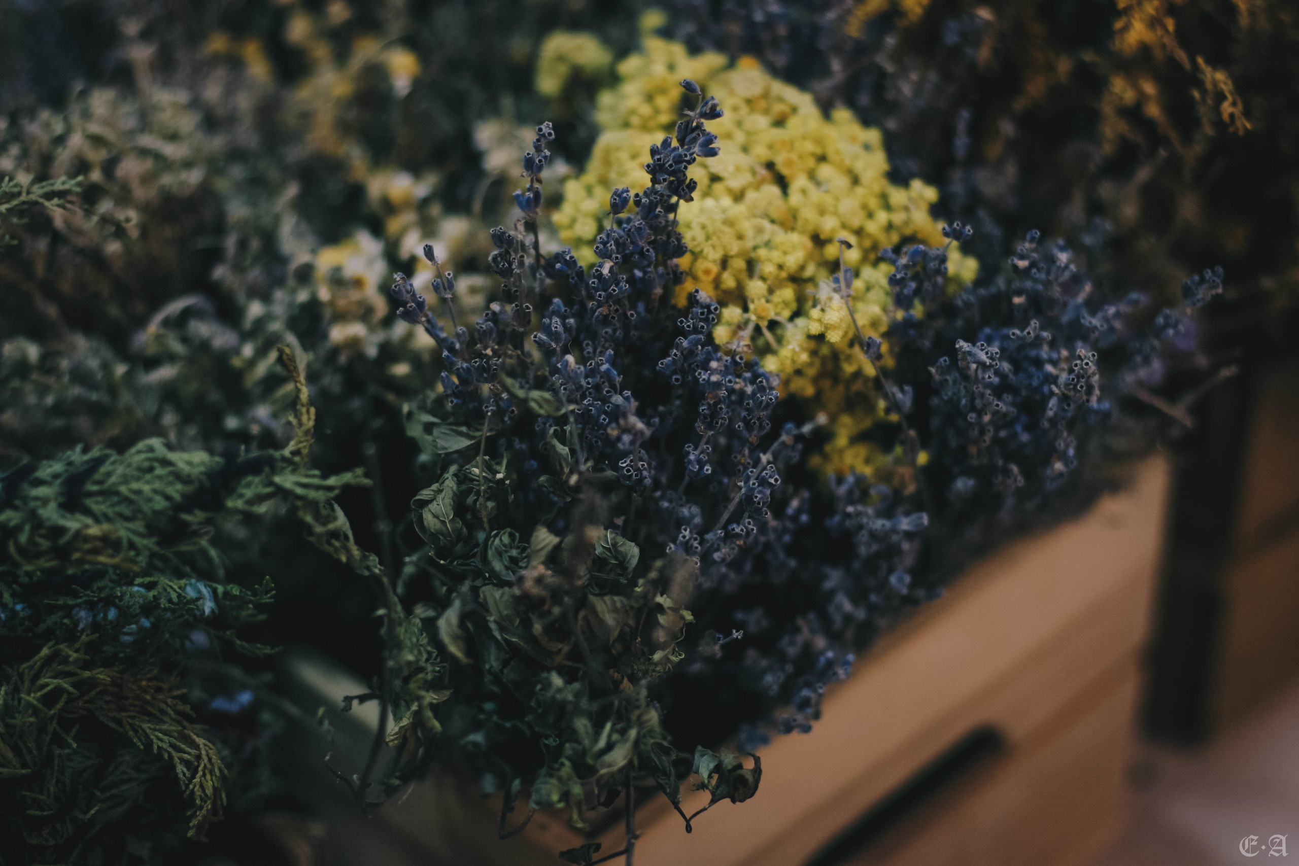 Сокровищница обители «Ведьмин Путь». Фотограф Ellairen