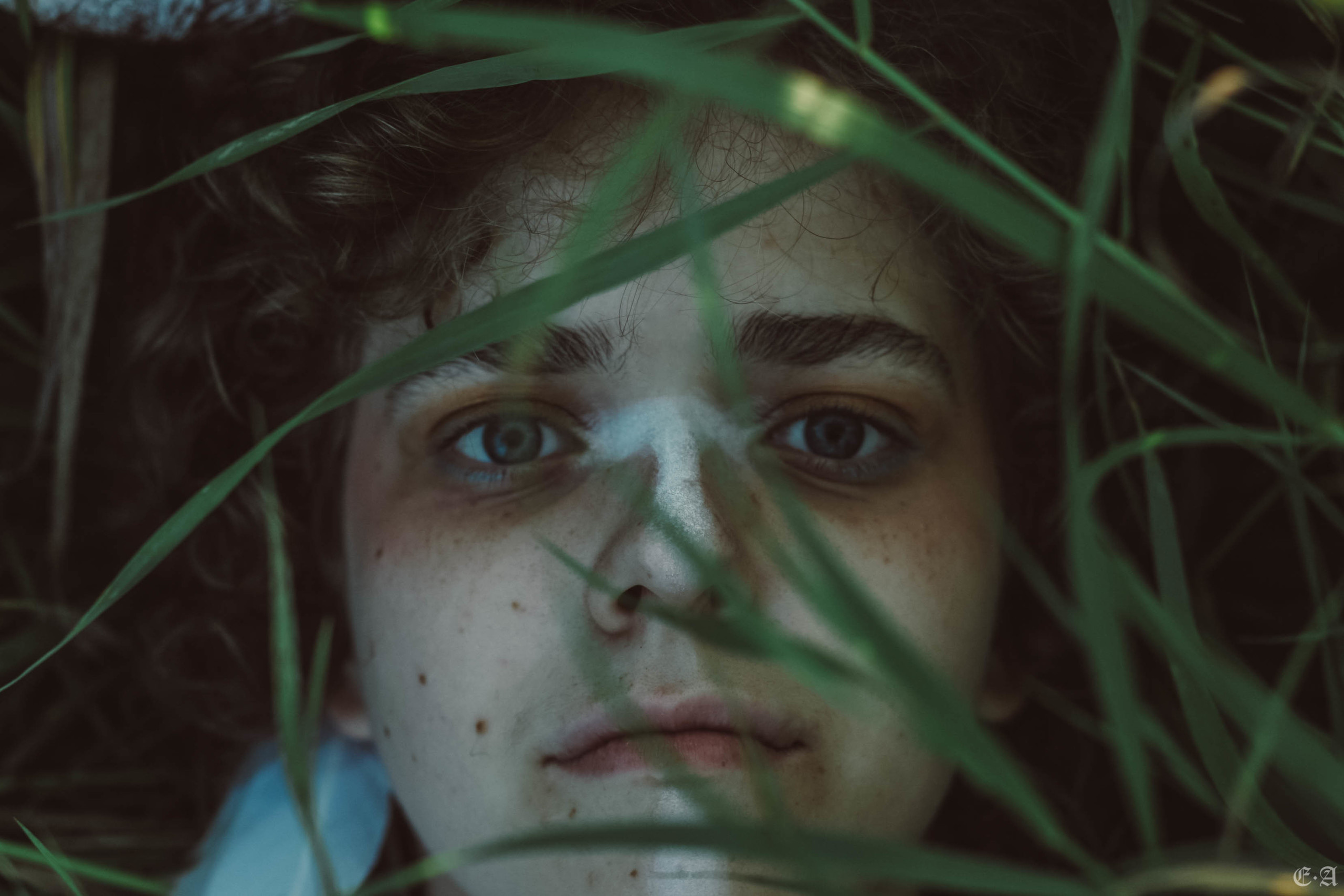 Fegurð. Лесной шаман. Фотограф Ellairen