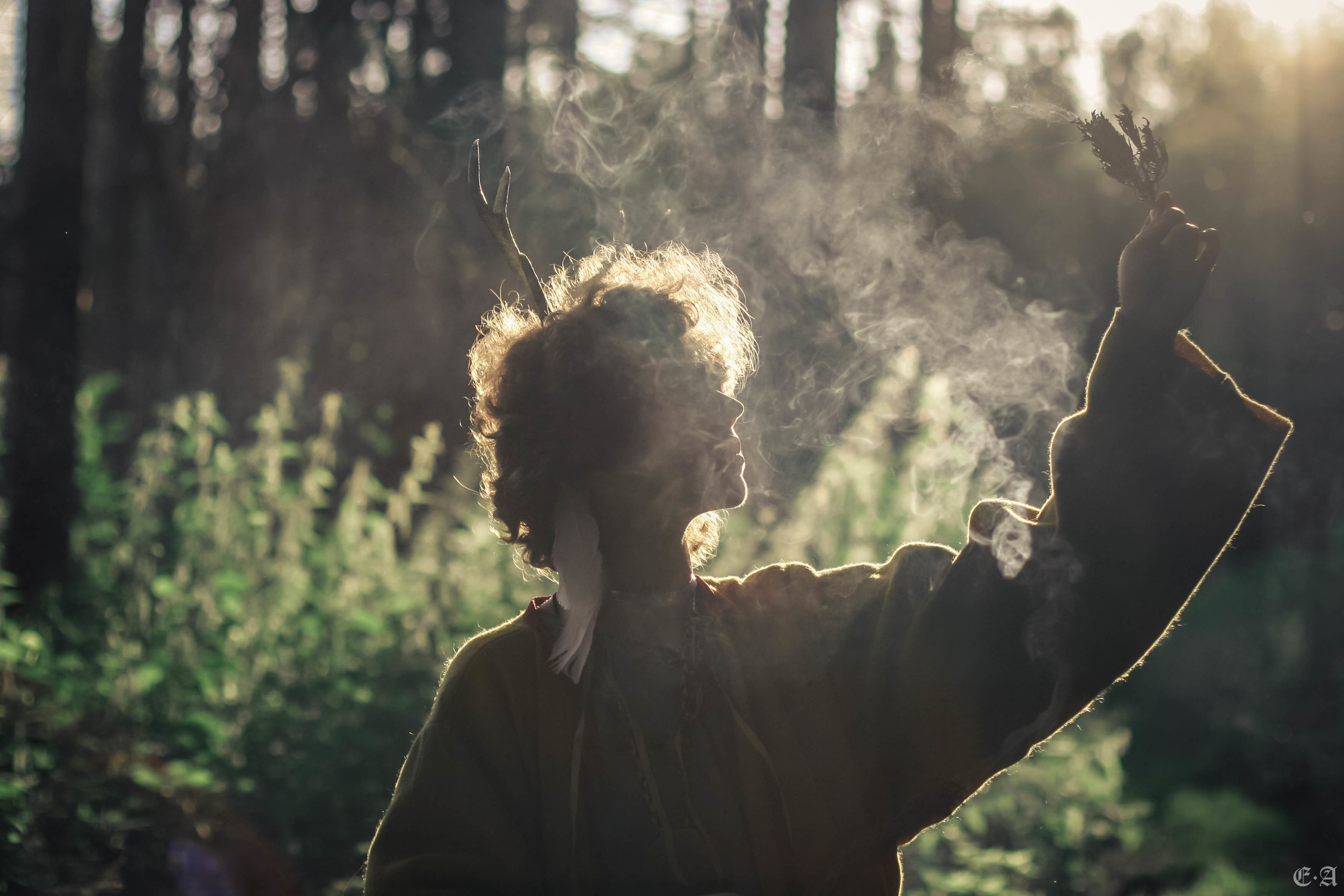 Fegurð. Лесной шаман. Фотограф Ellairen