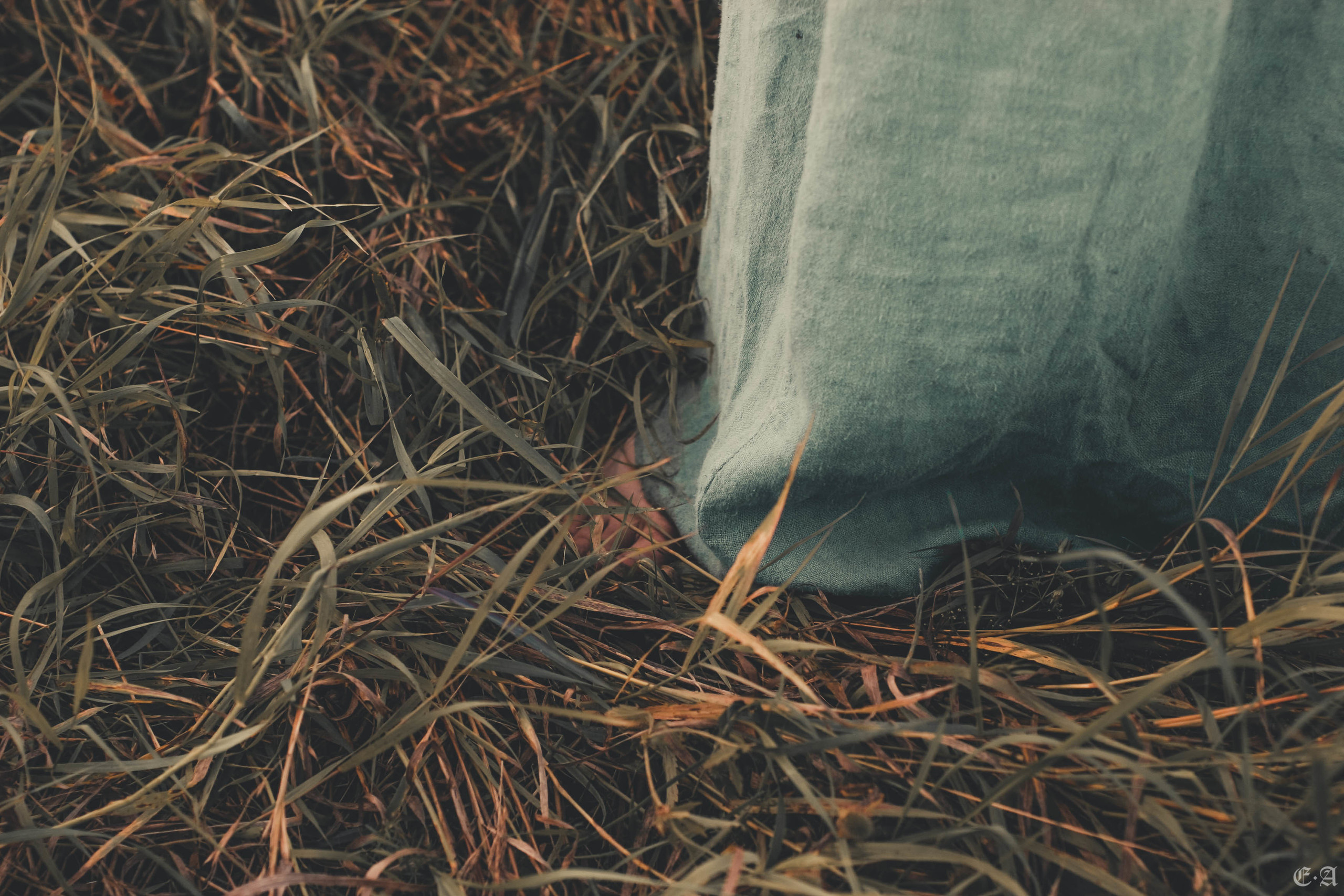 Fegurð. Лесной шаман. Фотограф Ellairen