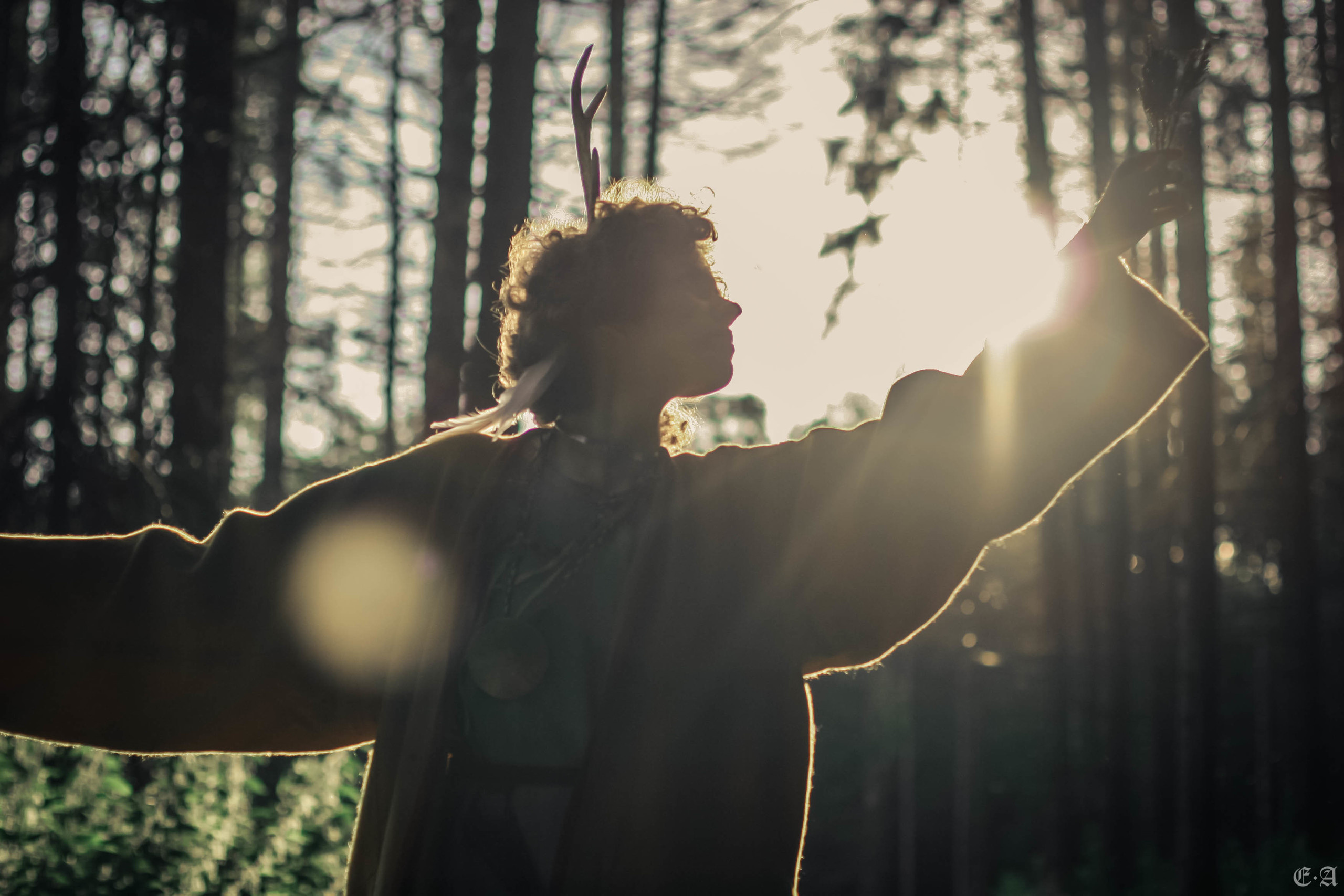 Fegurð. Лесной шаман. Фотограф Ellairen