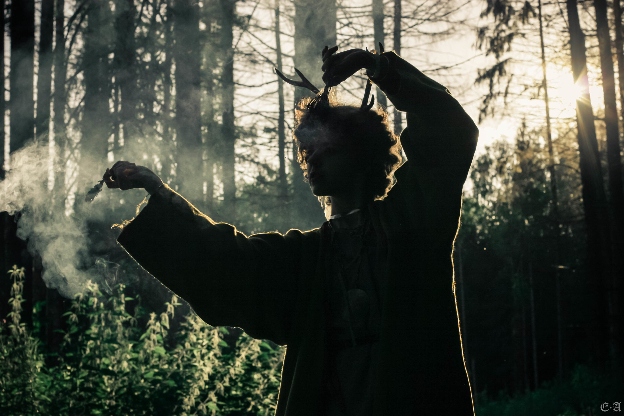 Fegurð. Лесной шаман. Фотограф Ellairen