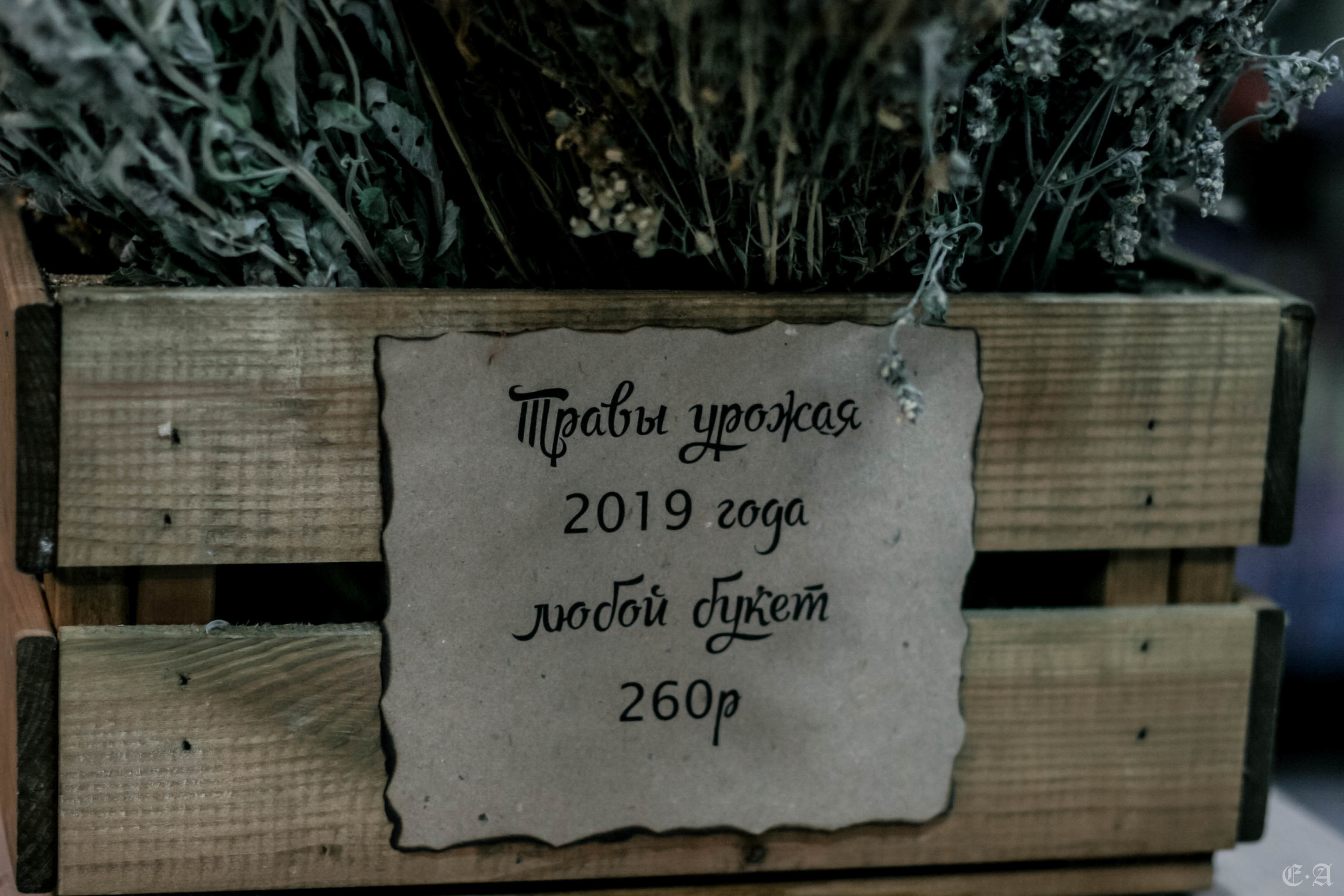 Сокровищница обители «Ведьмин Путь». Фотограф Ellairen