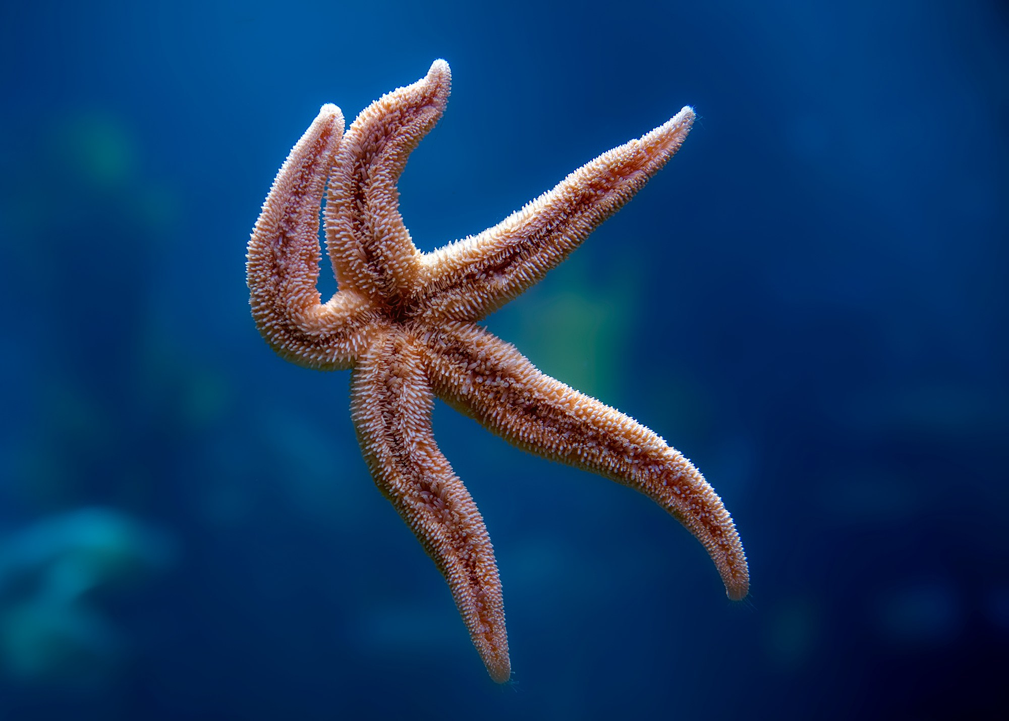 Зоопарк. Фотограф Владимир Остапенко