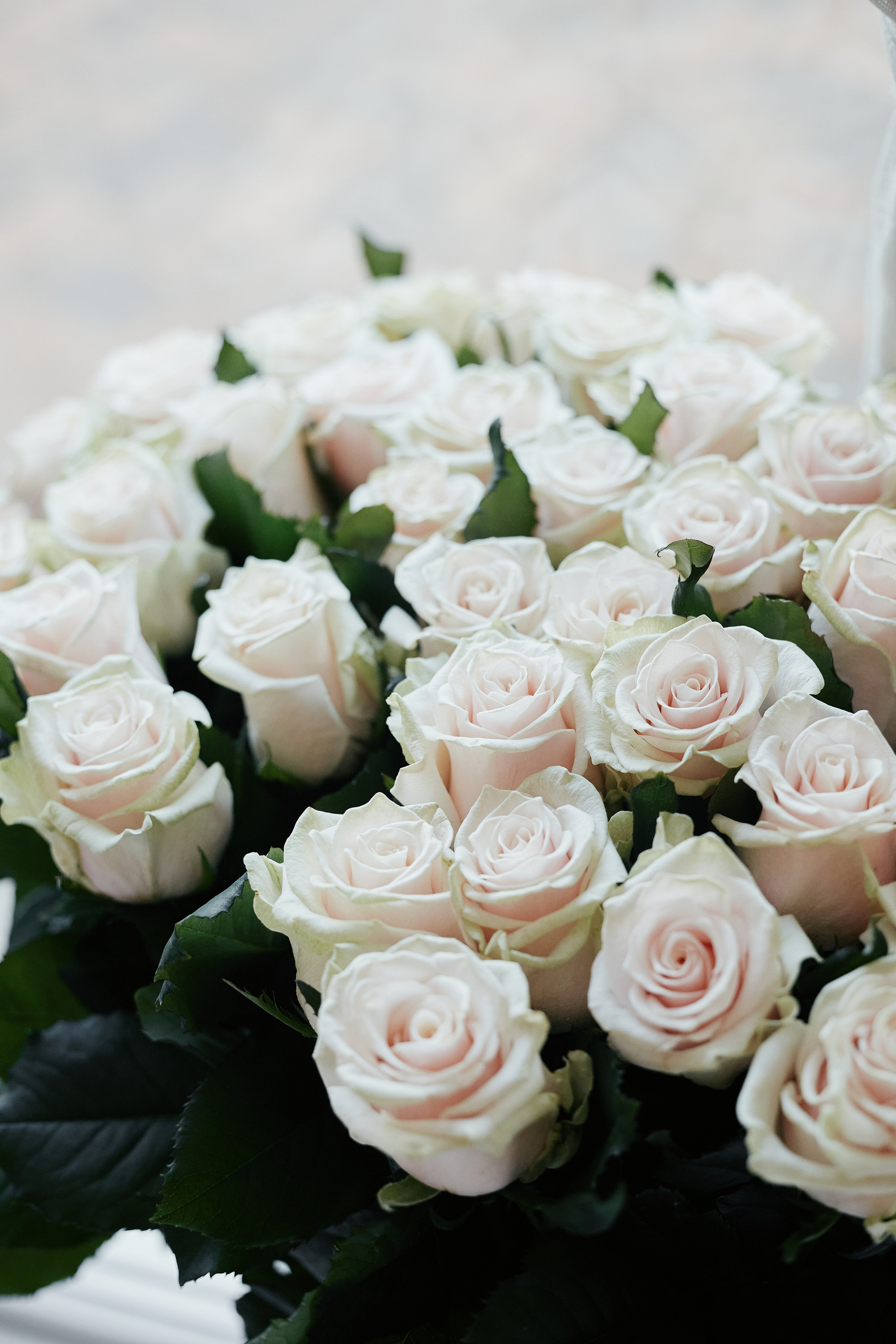 Праздник в ресторане FAMILIA 11.07. Свадебный репортажный фотограф краснодар максим дремов дрёмов фотосессия студия цена