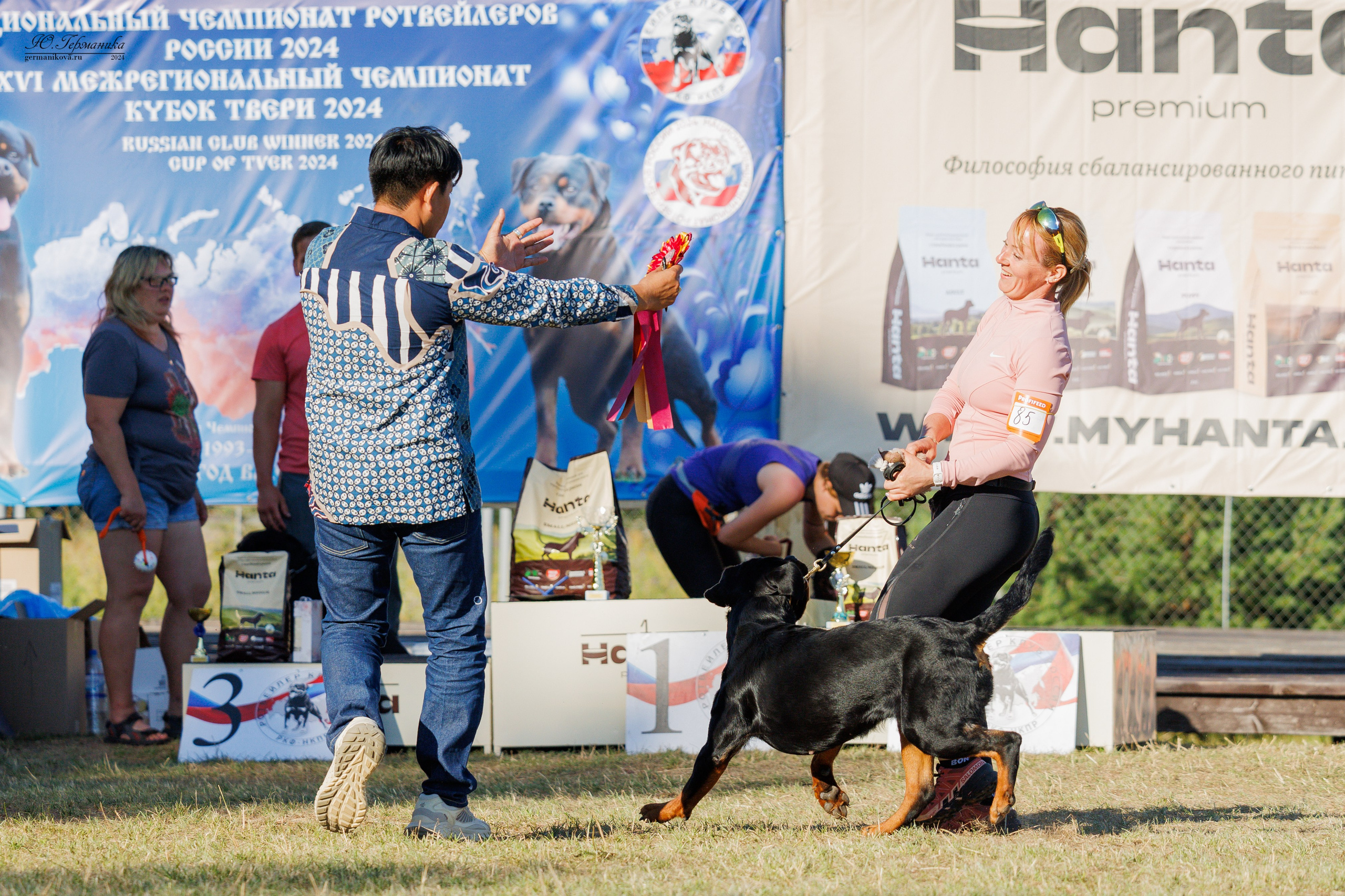 ПК и КЧК ротвейлеры Тверь 6-7.07.2024. Фотограф-анималист Юлия Германика