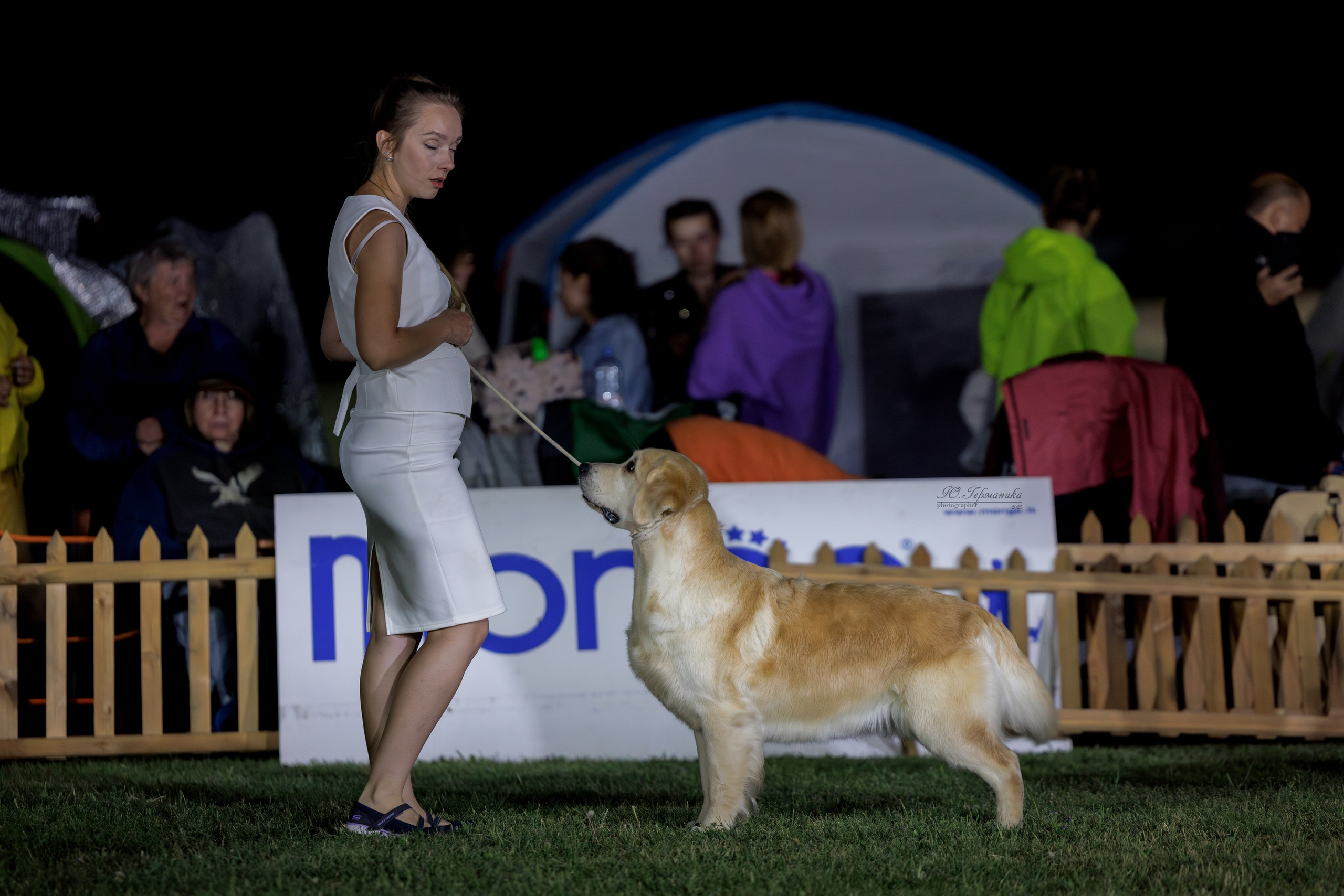 Ереван 3хCACIB 23-25.06.2025. Фотограф-анималист Юлия Германика