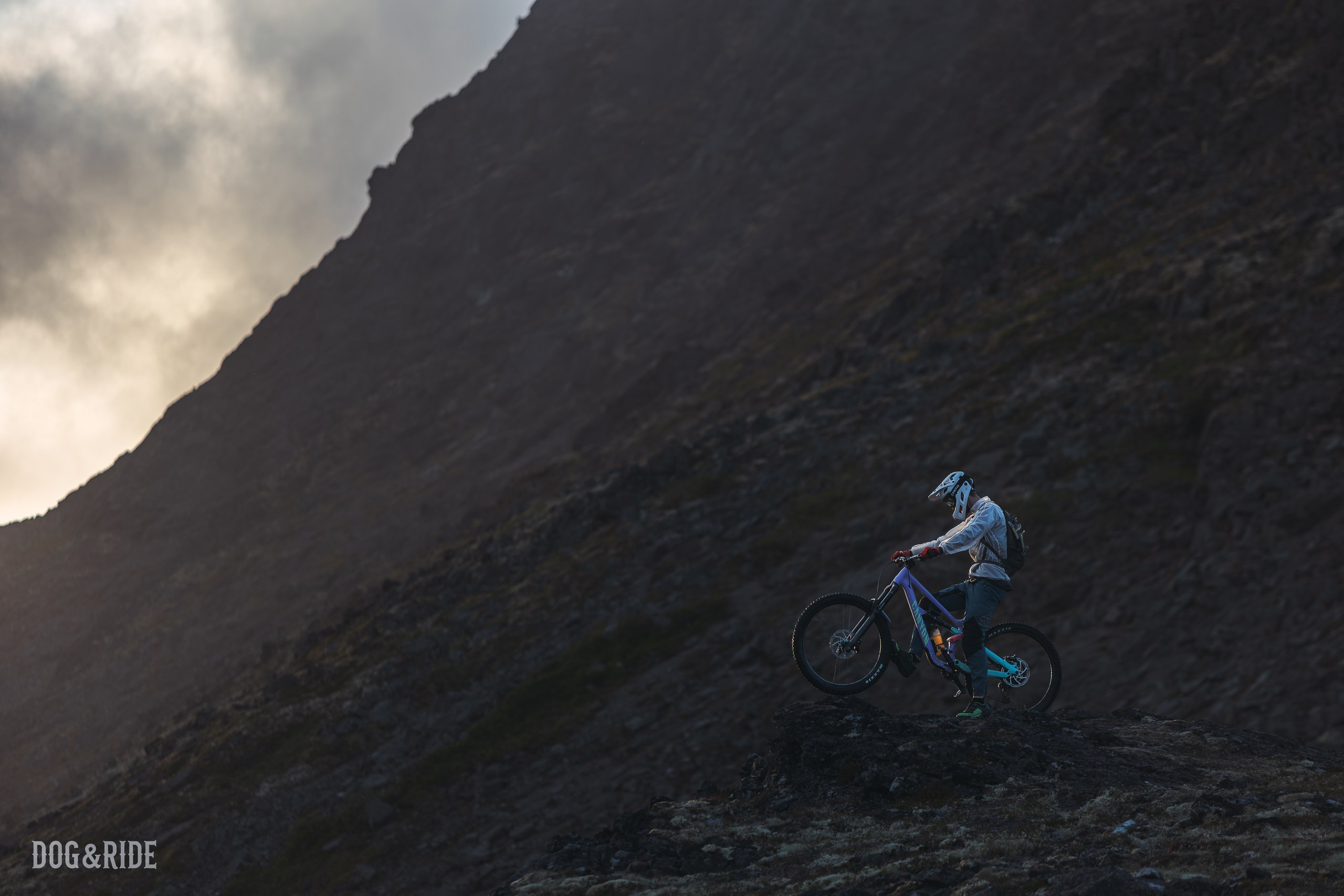 Хибины. Фотограф анималист Никита Натальный