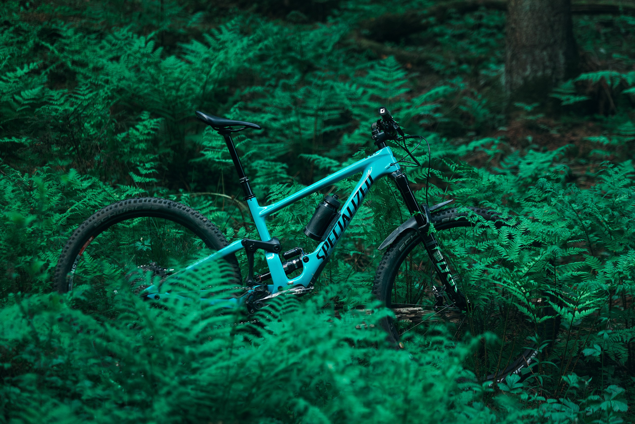 Саша и Ваня. Фотограф анималист Никита Натальный