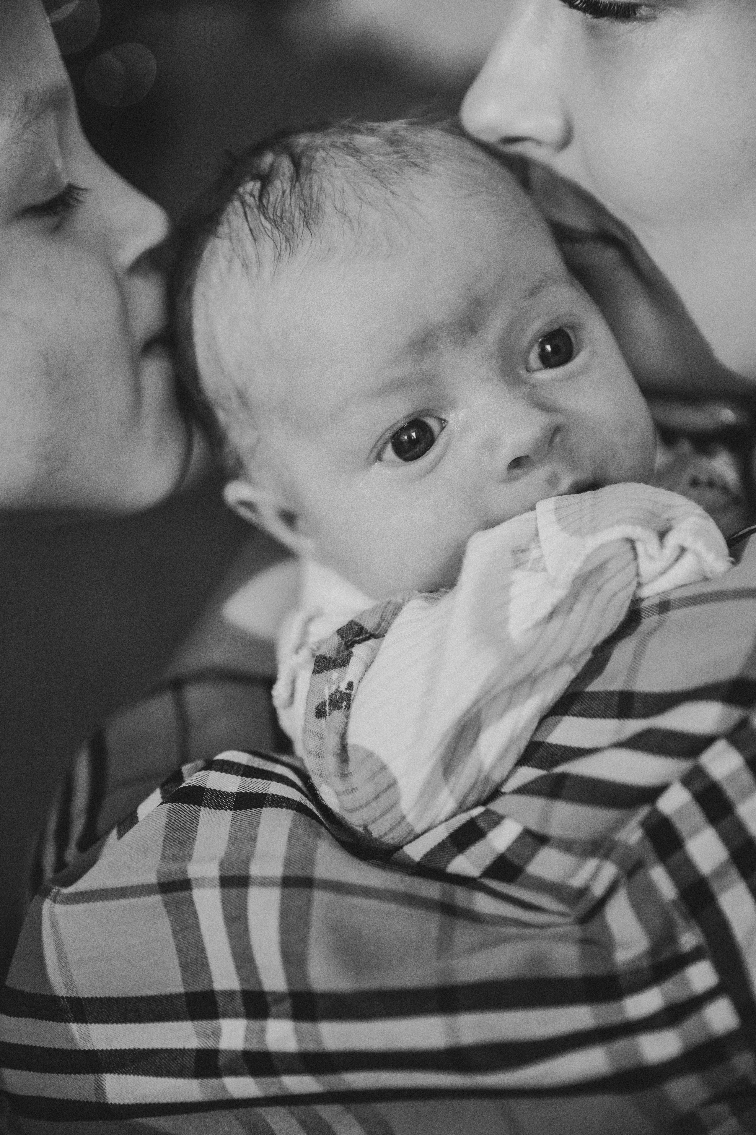 Лев. Фотограф Анастасия Петрова