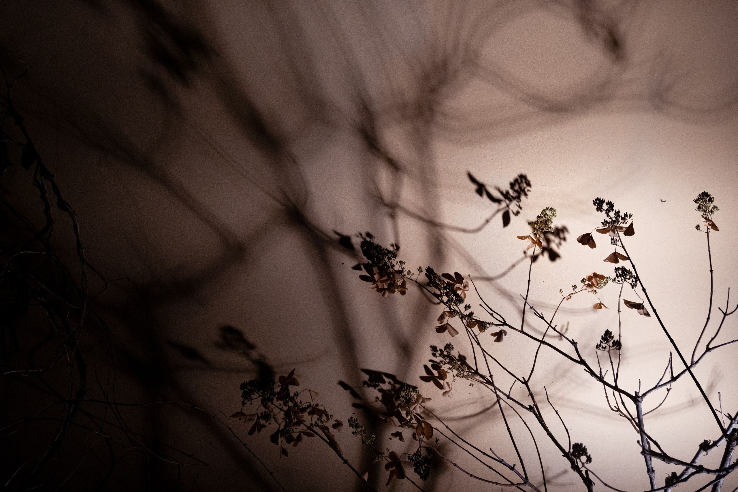 Тени города. Портретный и архитектурный фотограф в Москве и Санкт-Петербурге